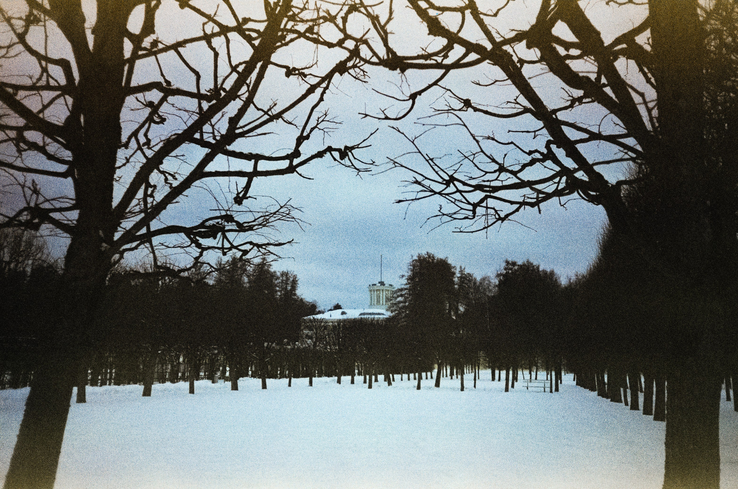 Fujicolor Superia 200 (просрочка) / Cosina CX-1 / 6 января 2025 года Усадьба Архангельское