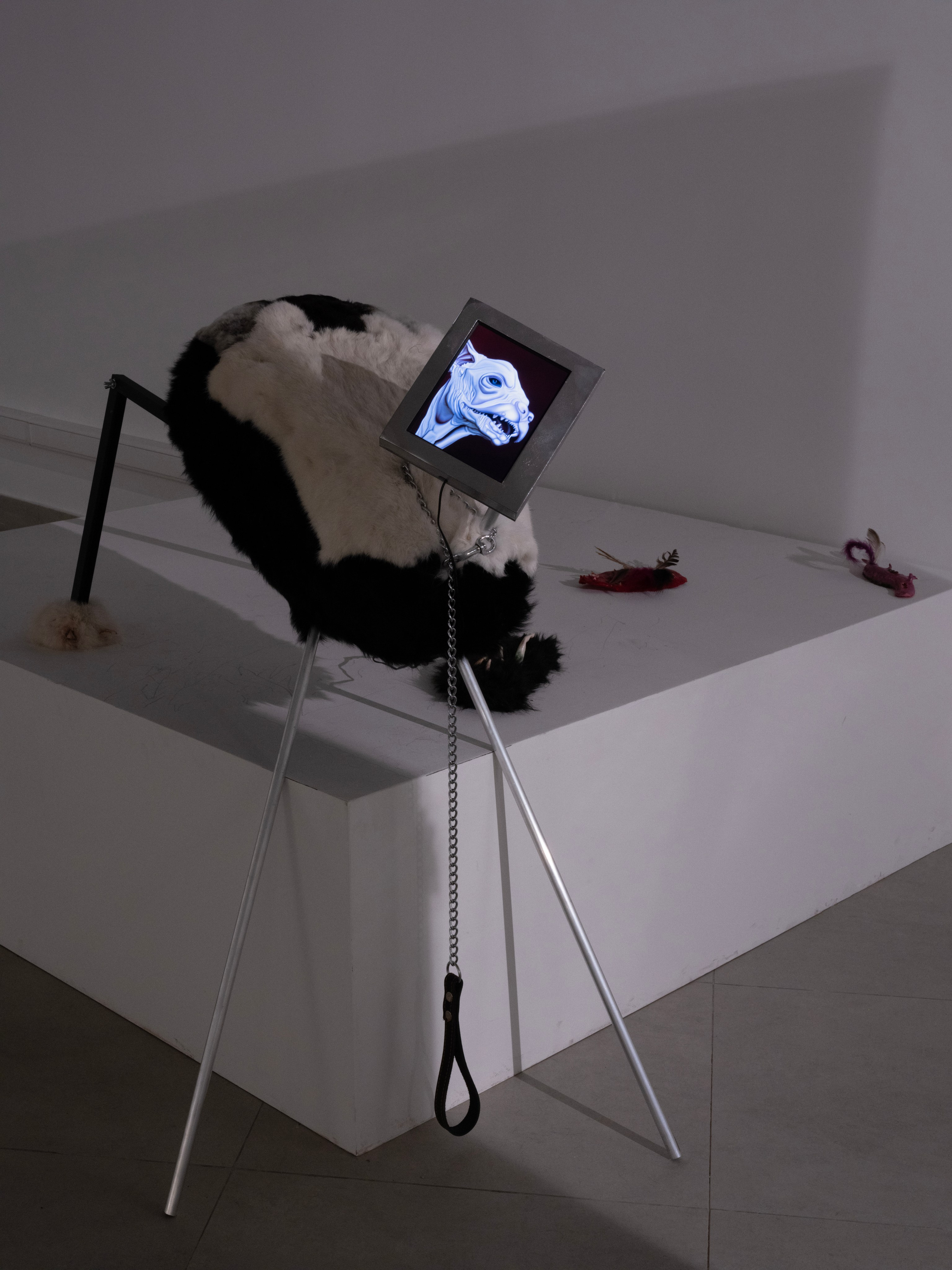 Дивный сад. Елизавета Иванова — независимый куратор, культуролог, исследователь художественных практик, художник