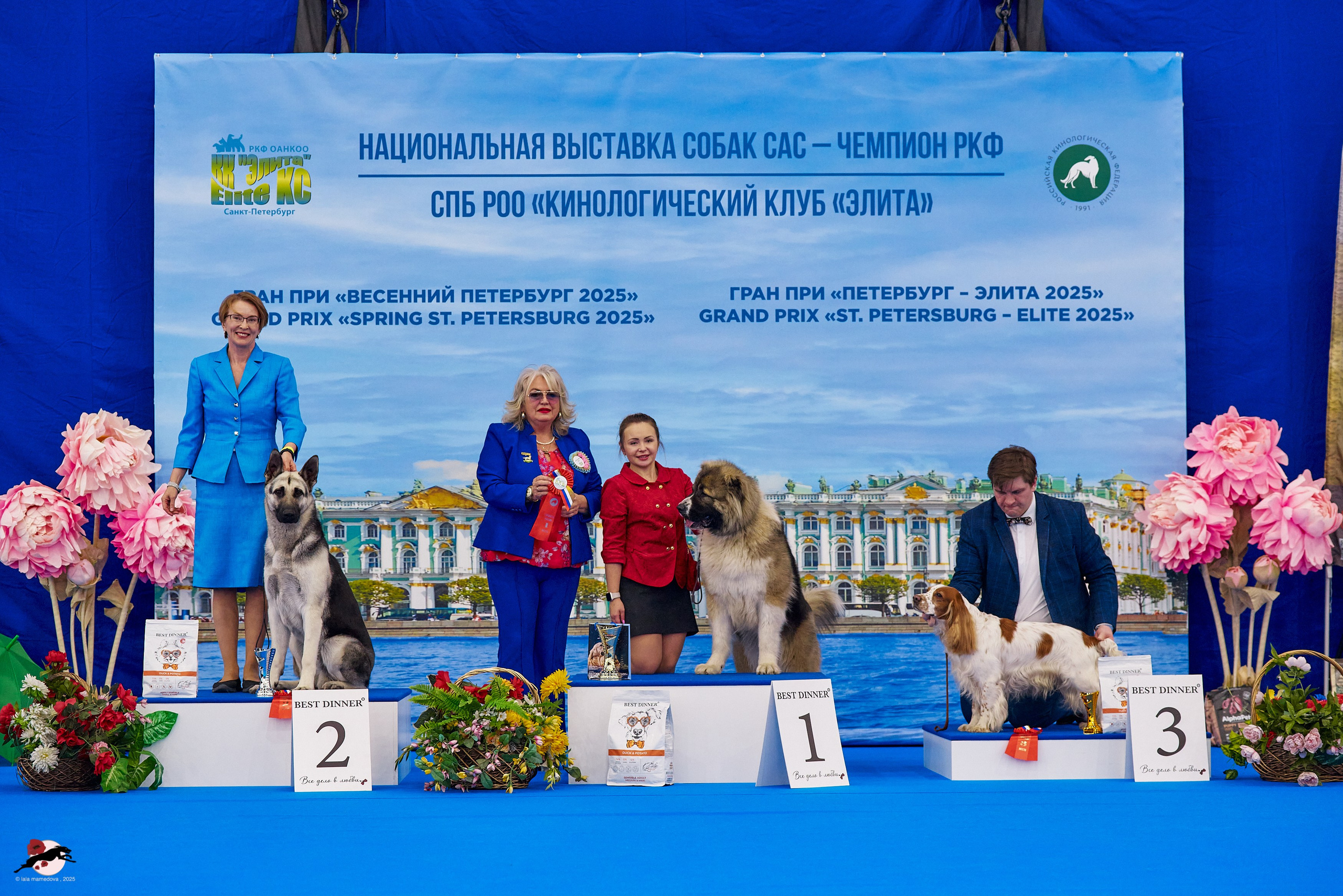 ГРАН ПРИ «ВЕСЕННИЙ ПЕТЕРБУРГ» & «СУПЕР КУБОК «ЭЛИТЫ»-2025»