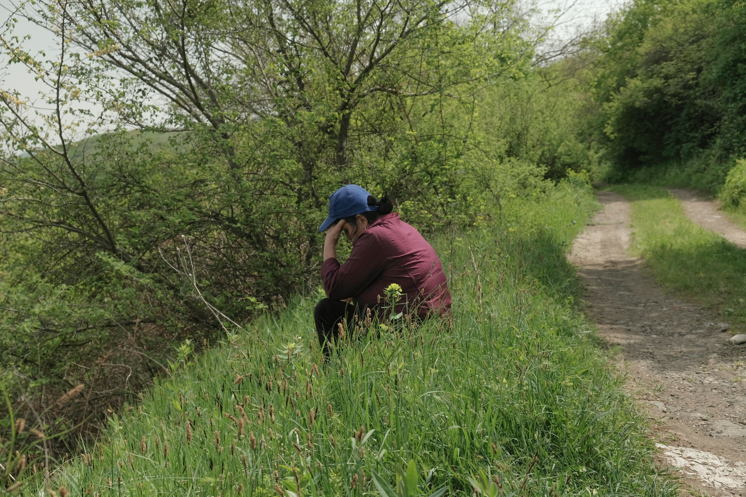 Delimitation. Kirillov Egor