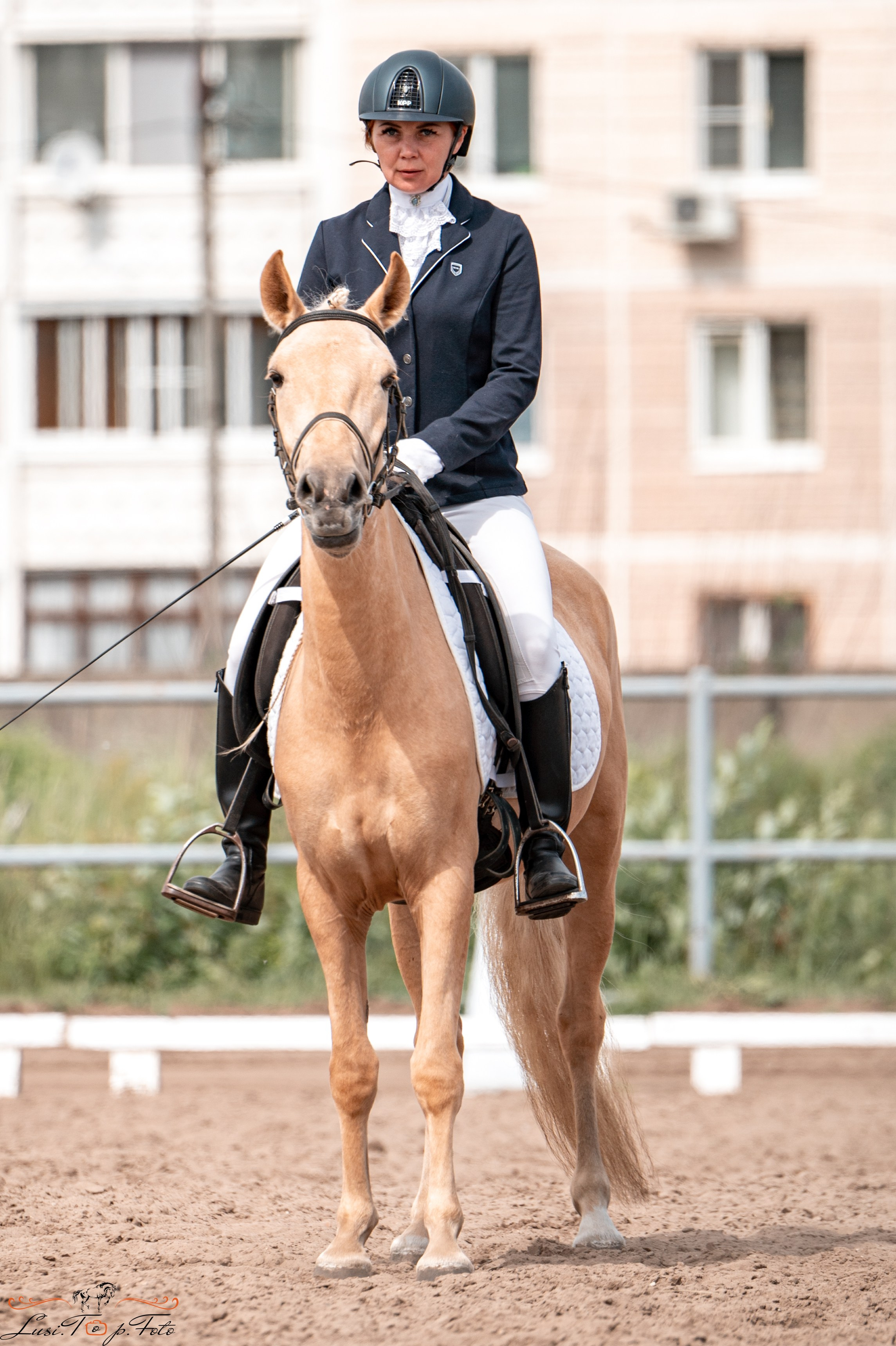 Областные соревнования по выездке. Тверь. Конный и фотограф с животными в Твери Топталова Люся