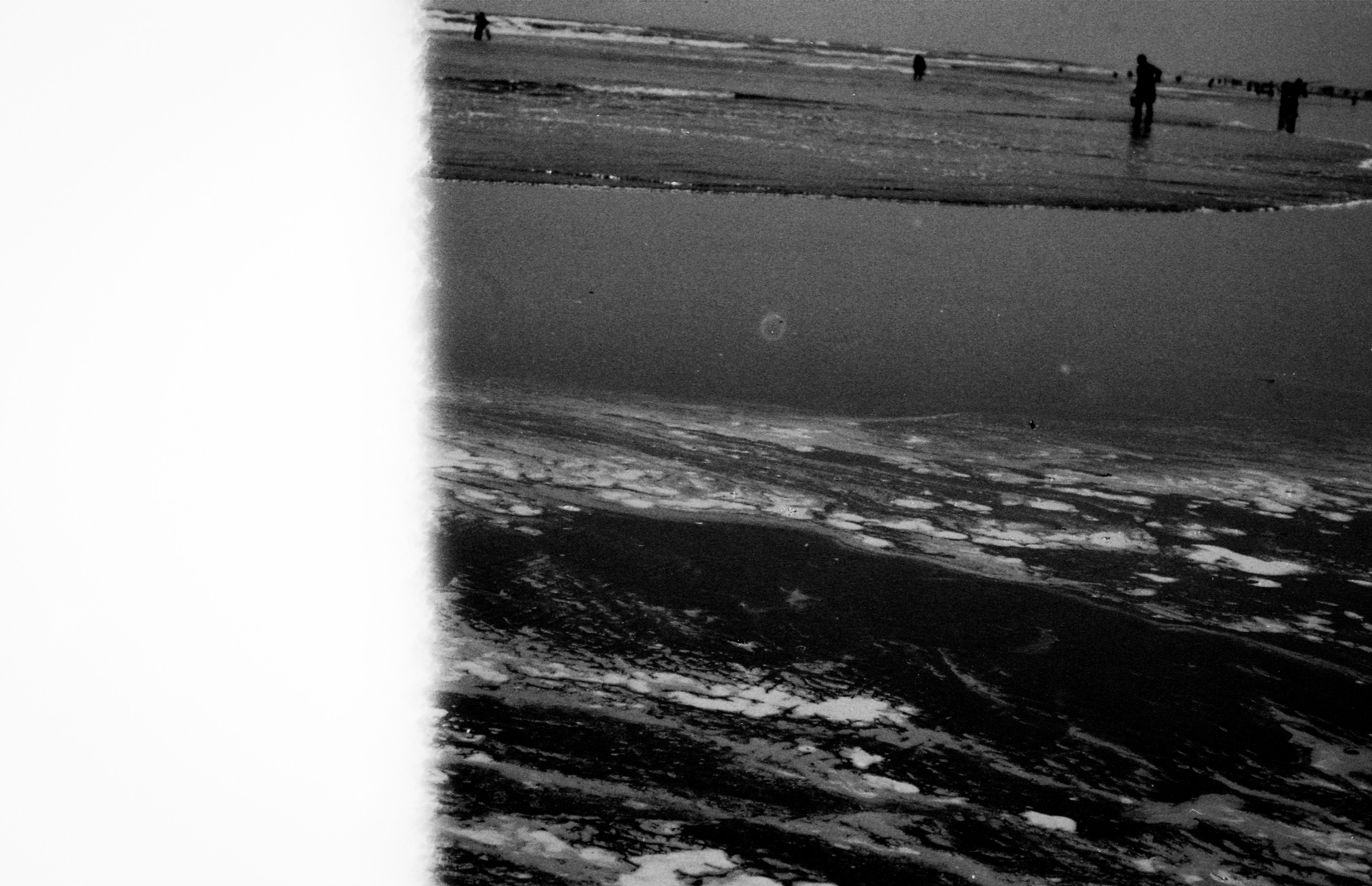 INTERVIEW WITH THE ARTIST: YOSHIKATSU FUJII. Самоорганизация Низина