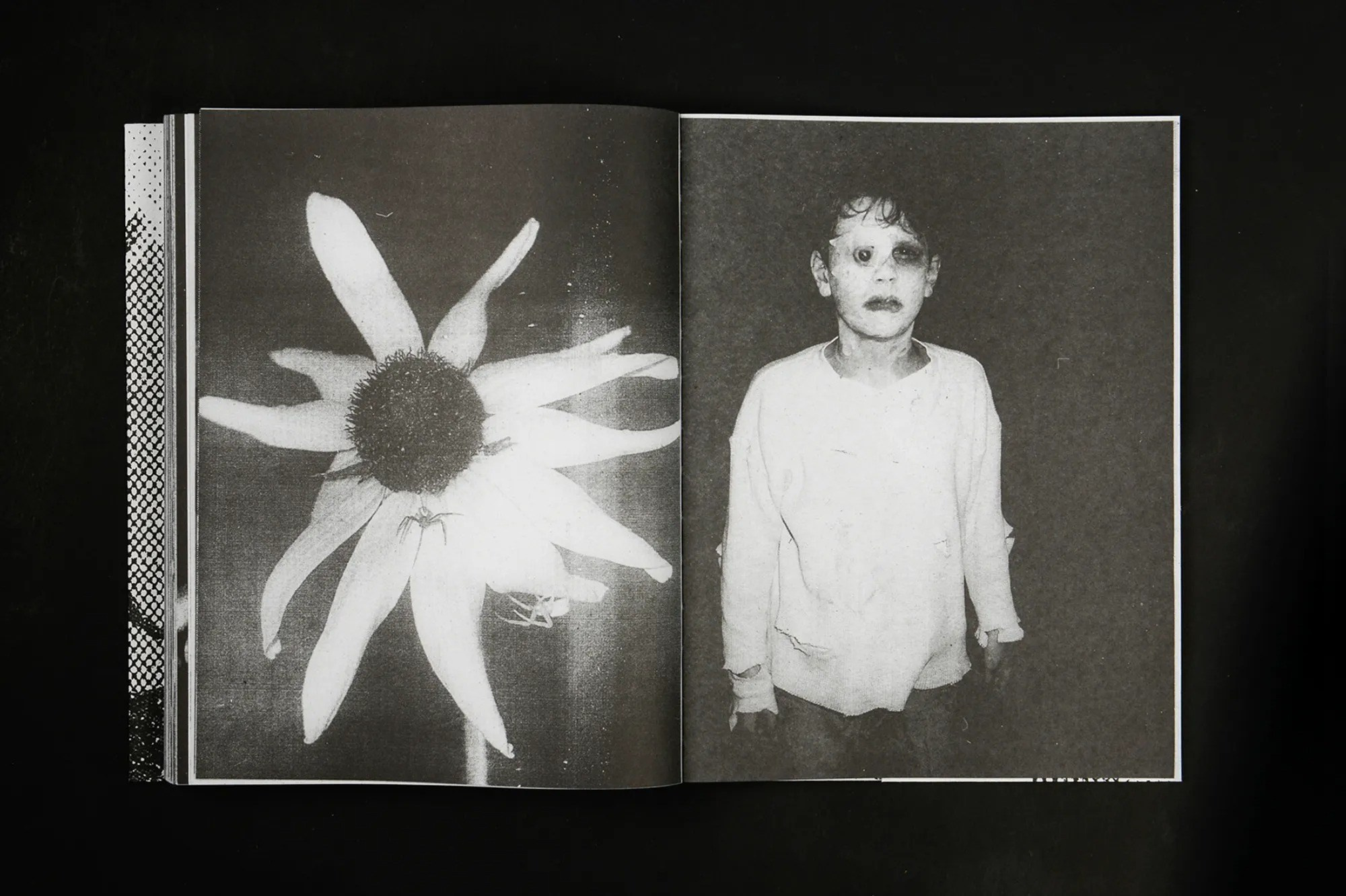 ПОПУЛЯРНЫЕ ОШИБКИ ПРИ СОЗДАНИИ ФОТОКНИГИ: Часть вторая — про содержание и нарратив. Самоорганизация Низина