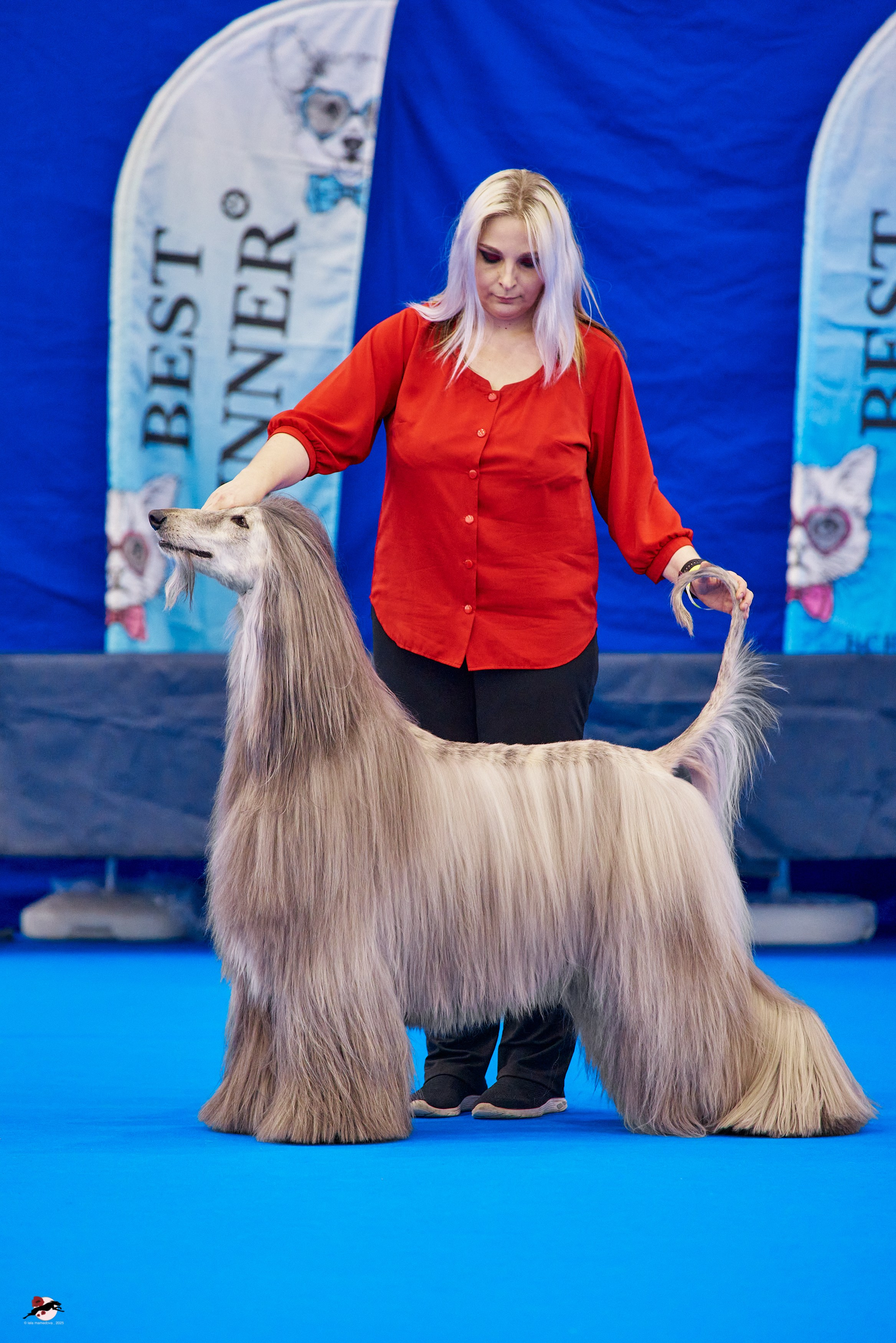 ГРАН ПРИ «ВЕСЕННИЙ ПЕТЕРБУРГ» & «СУПЕР КУБОК «ЭЛИТЫ»-2025»