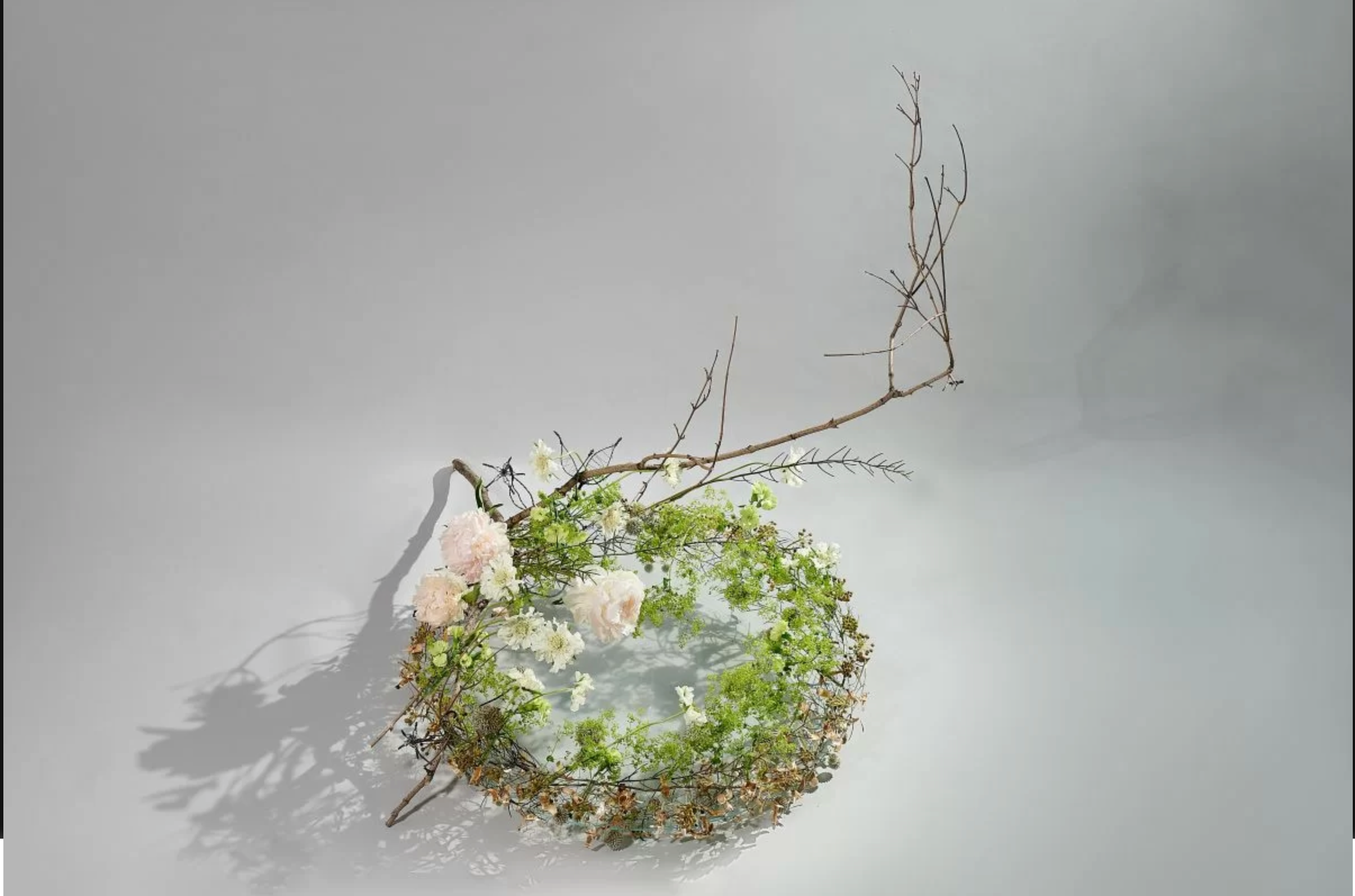 FROM RUSSIA WITH LOVE — FLORAL FUNDAMENTALS. Maria Poleshchuk, commercial photographer in Sydney