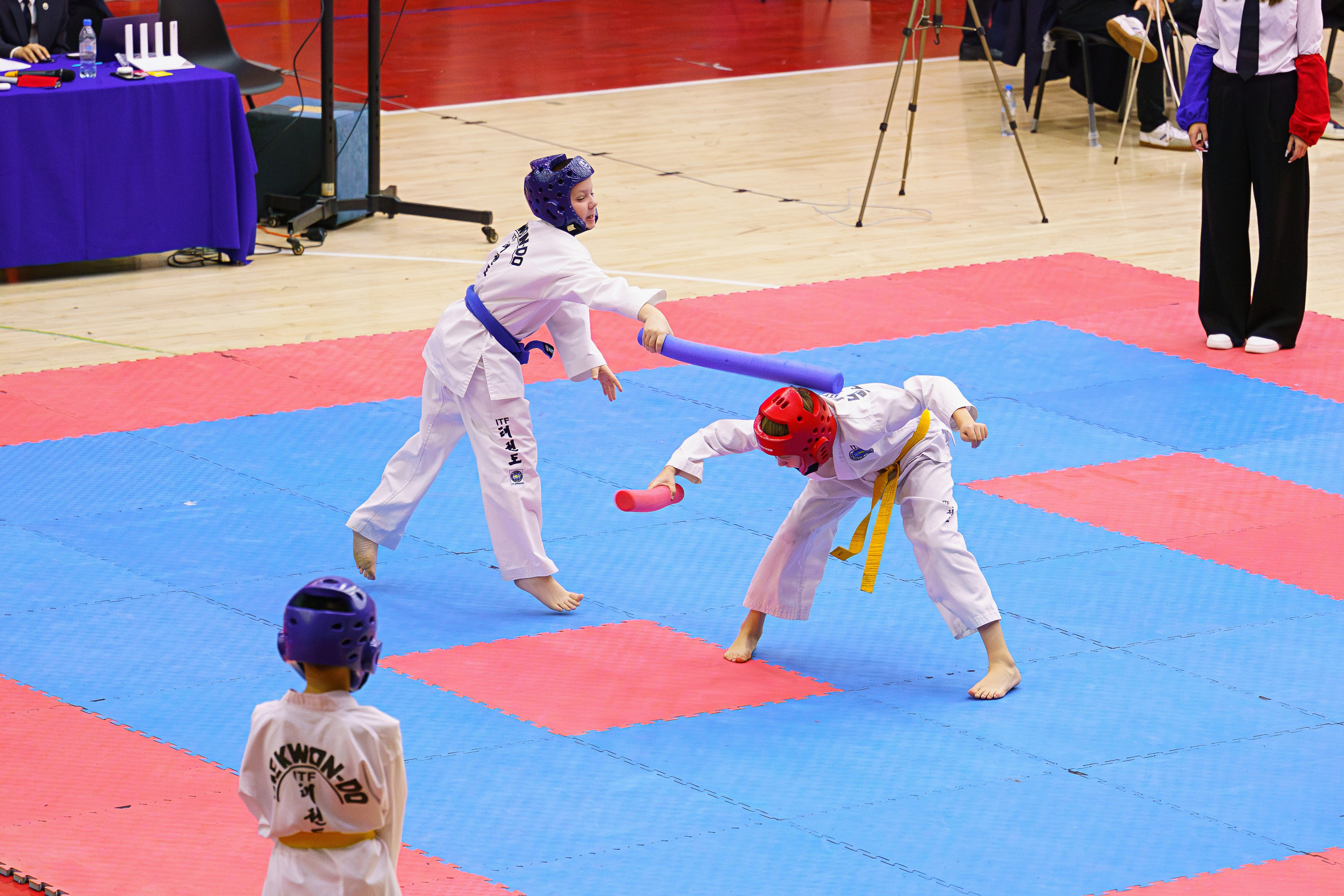 Соревнования Тхэквандо 23.11.2025. Фотограф Наталья Соколовская. Новосибирск