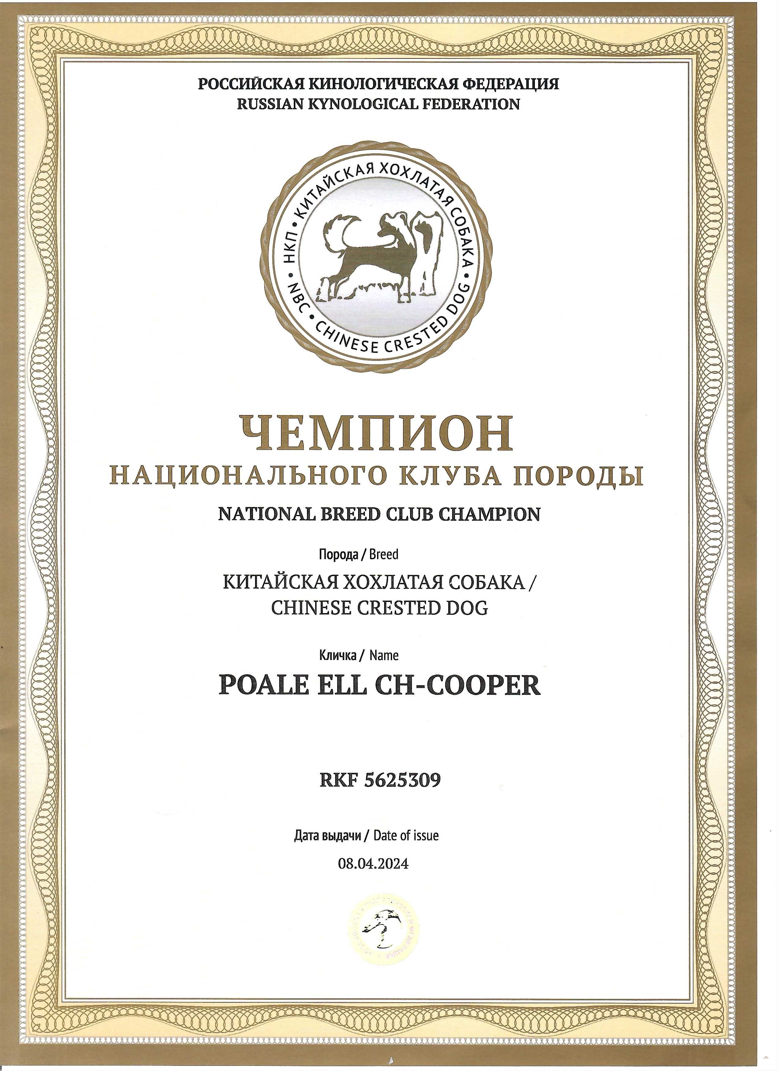 Poale Ell Cooper. Chinese Crested Dog Kennel Poale Ell