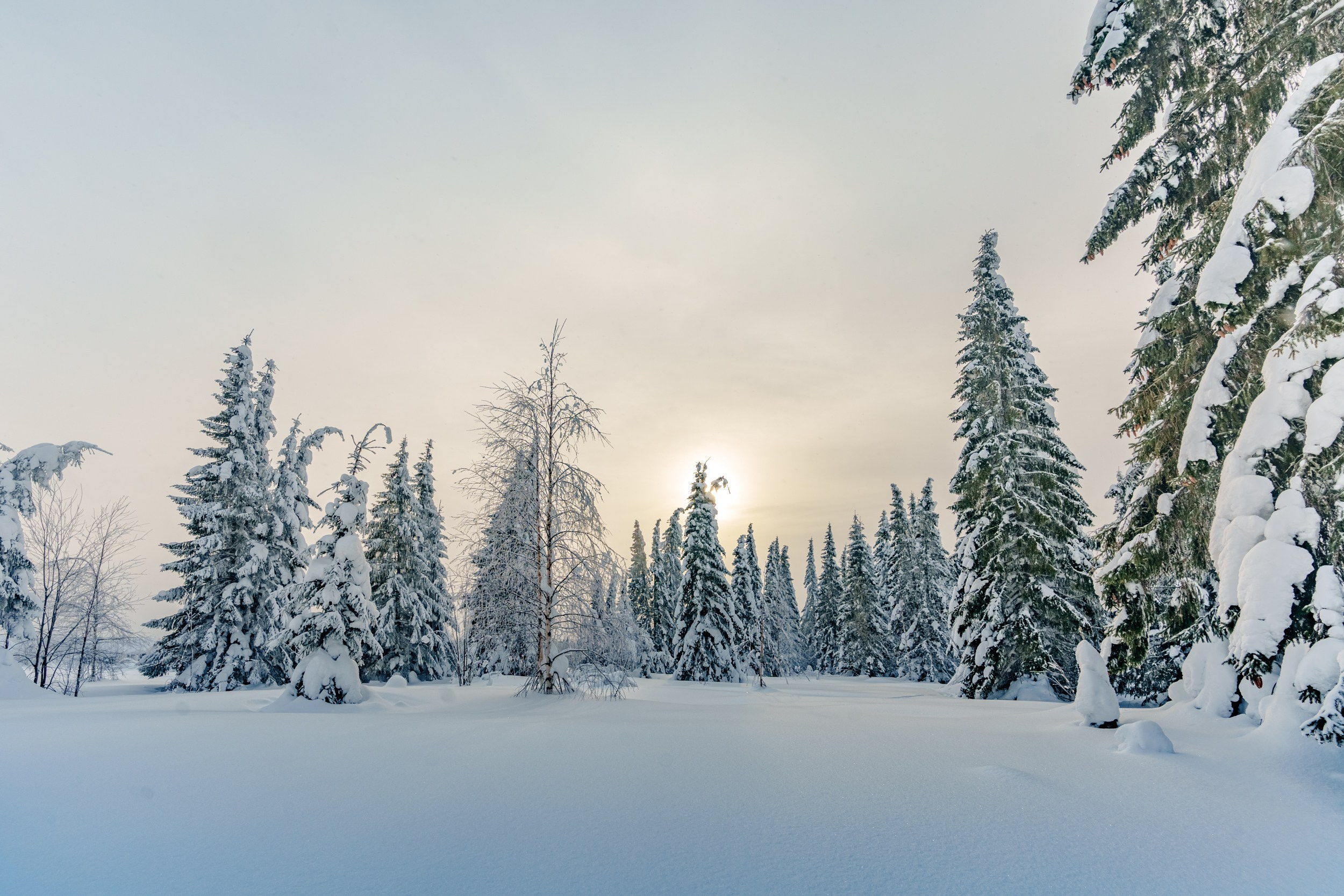 Зимняя сказка Пермского края
