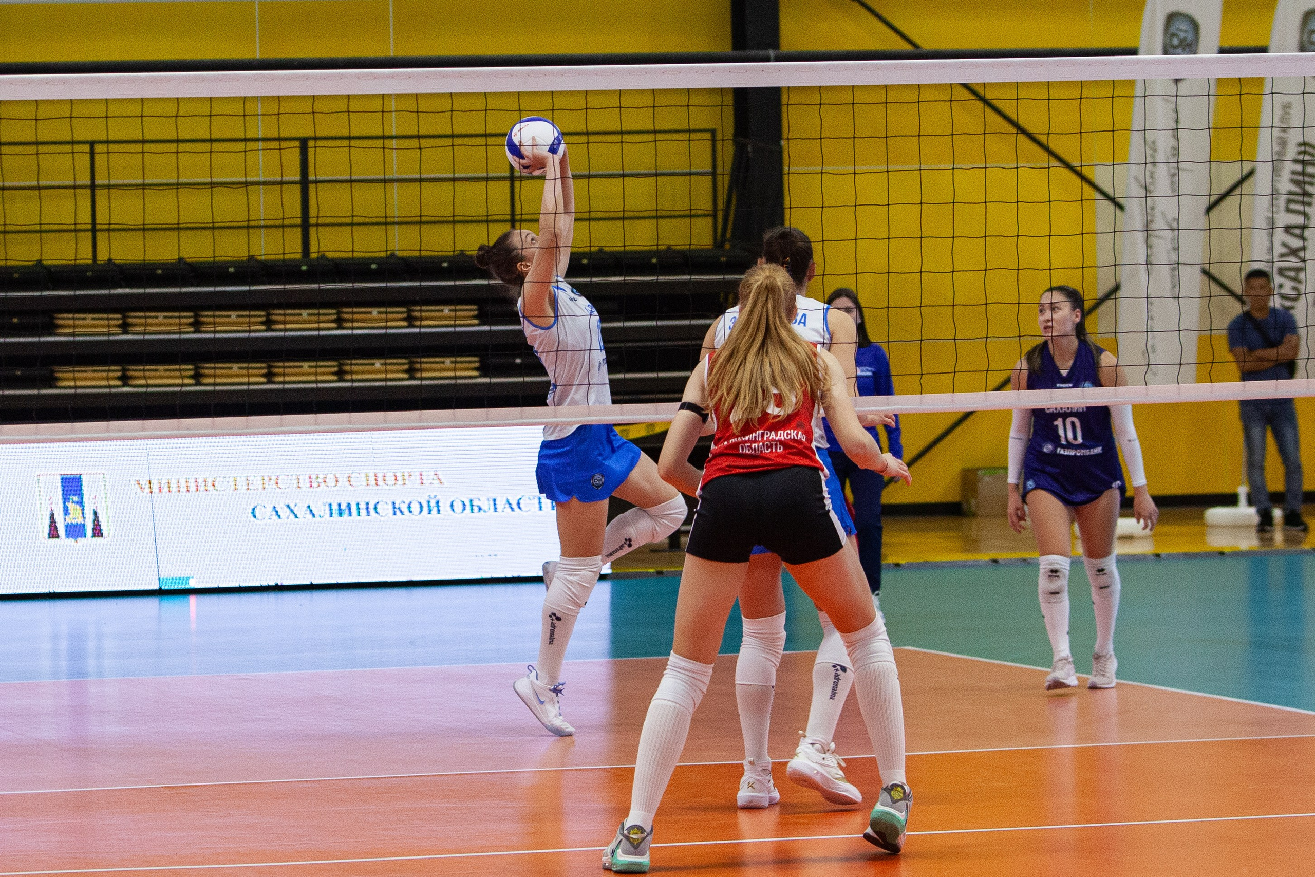 Один день из тура чемпионата России по волейболу. Кутузов Евгений Фотограф в Южно-Сахалинске