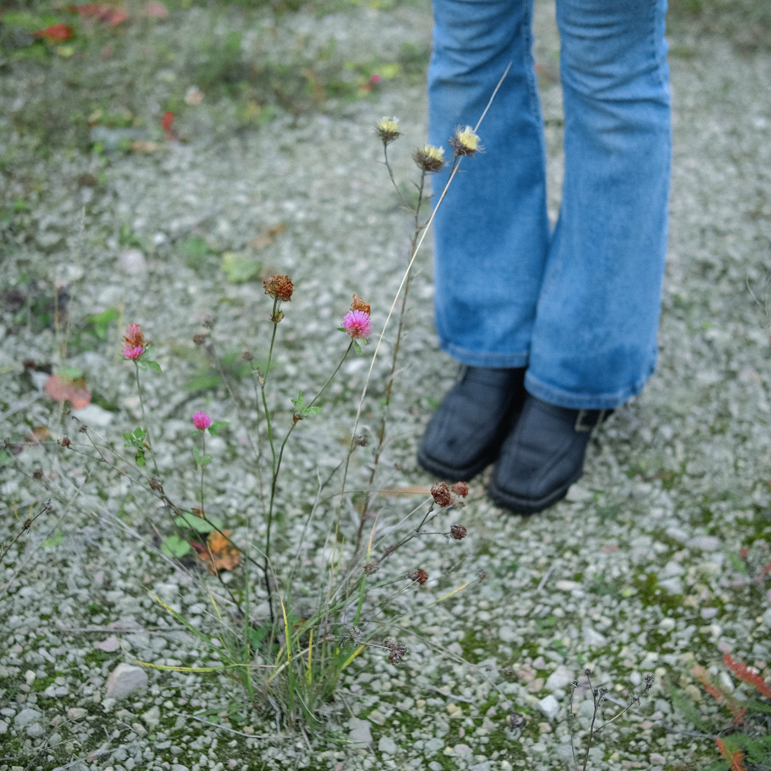 Природа вещей и надежд. Works
