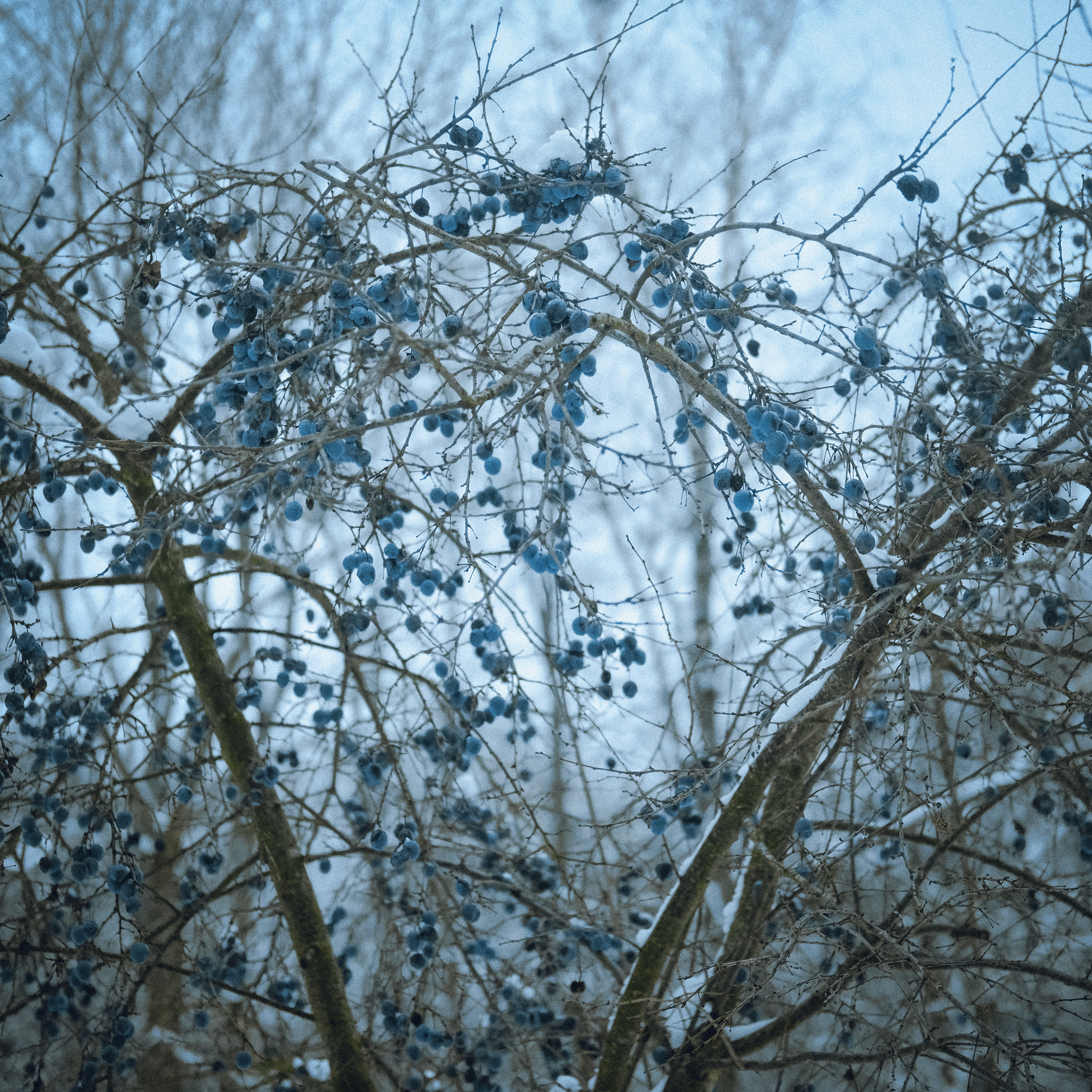 Природа вещей и надежд. Works