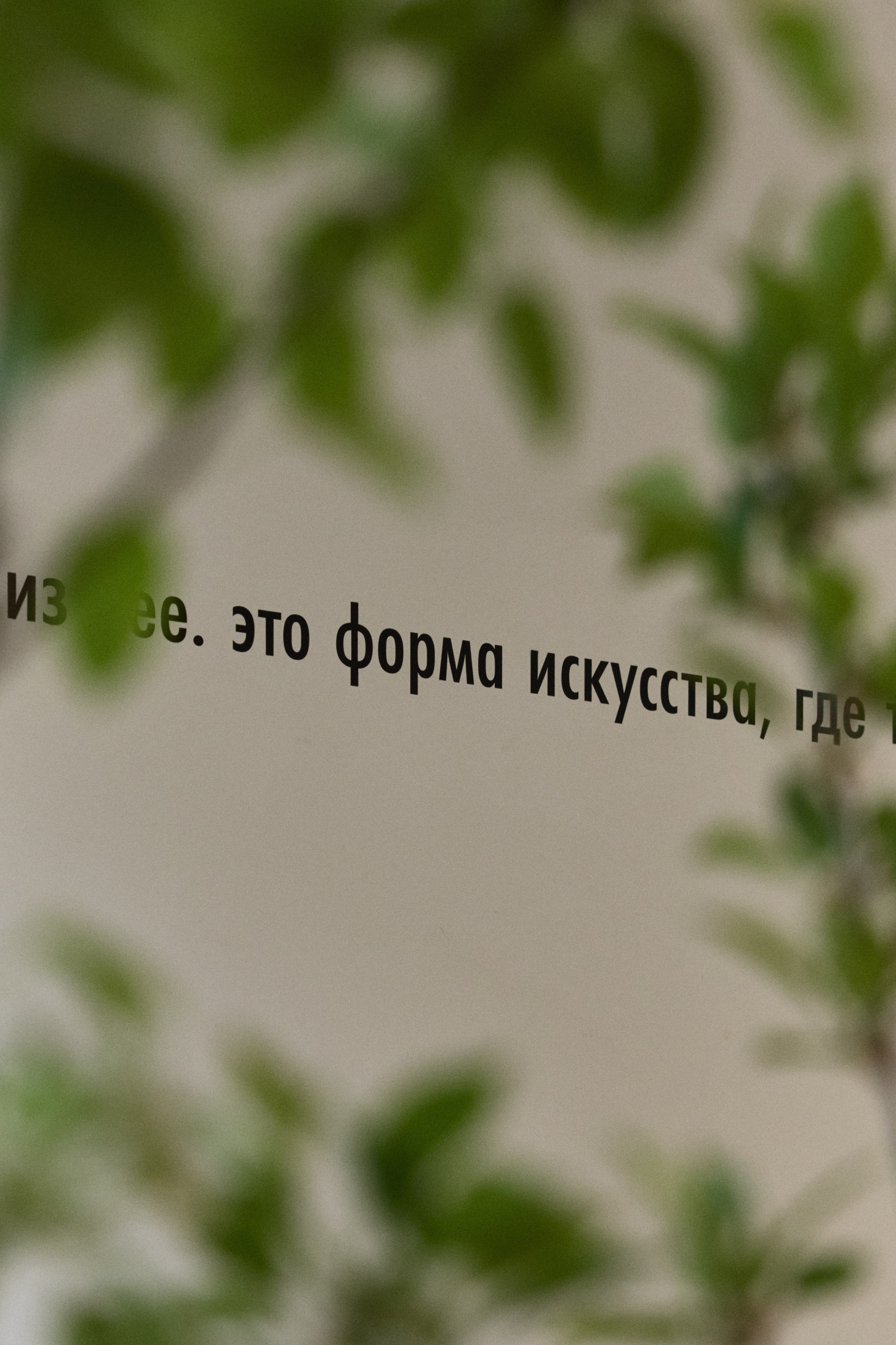 Focus: Performance. Anna Zavediy