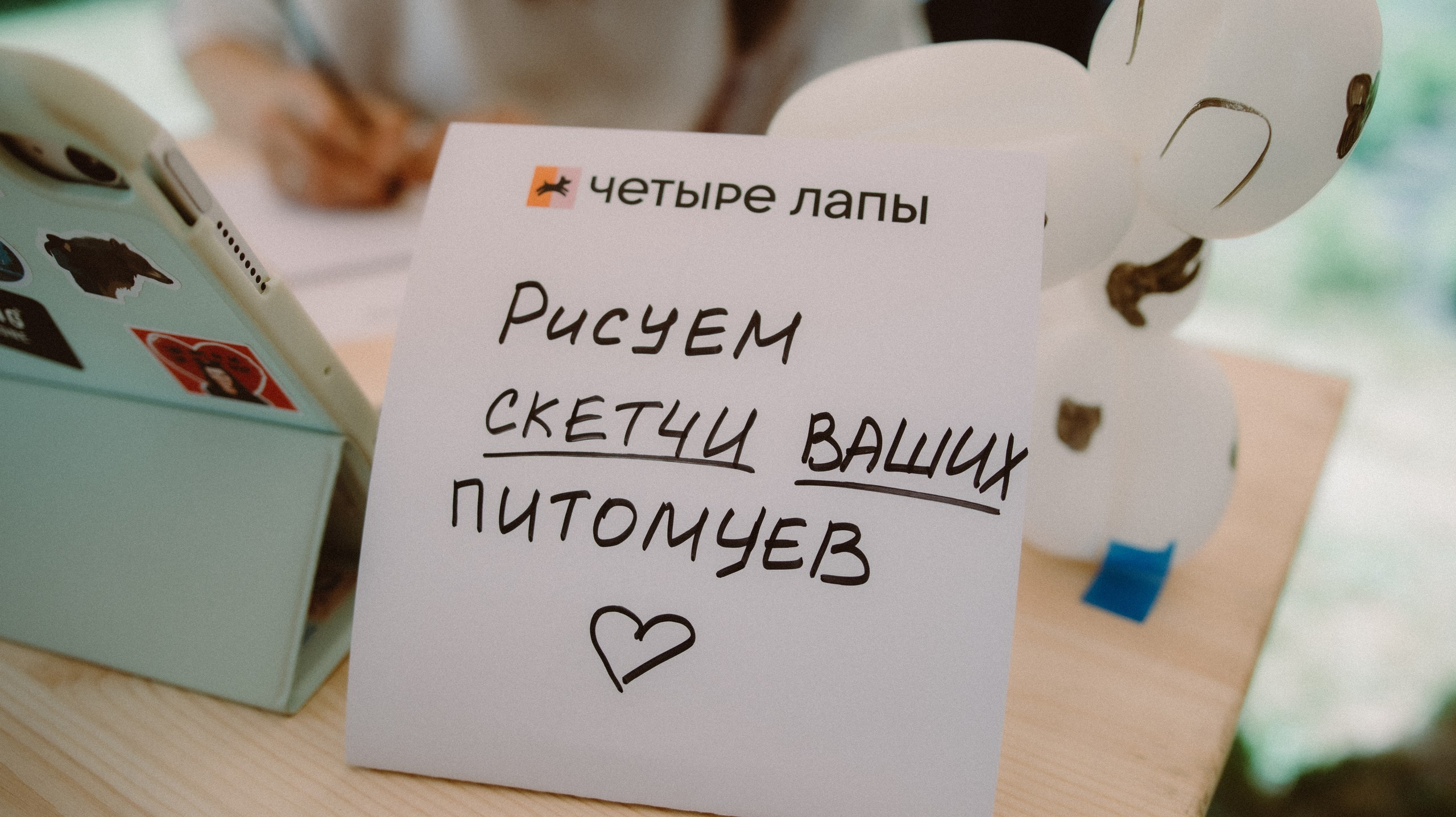 Скорняково Архангельское «Четыре Лапы». Свадебный и репортажный фотограф Дмитрий Кононенко