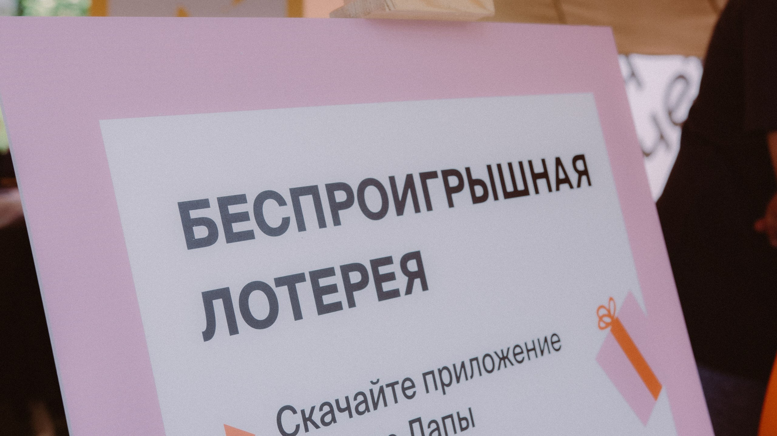 Скорняково Архангельское «Четыре Лапы». Свадебный и репортажный фотограф Дмитрий Кононенко