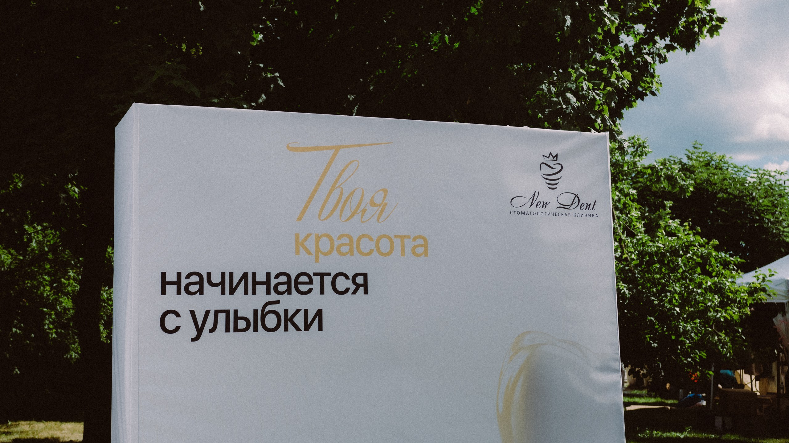 Скорняково Архангельское «Четыре Лапы». Свадебный и репортажный фотограф Дмитрий Кононенко