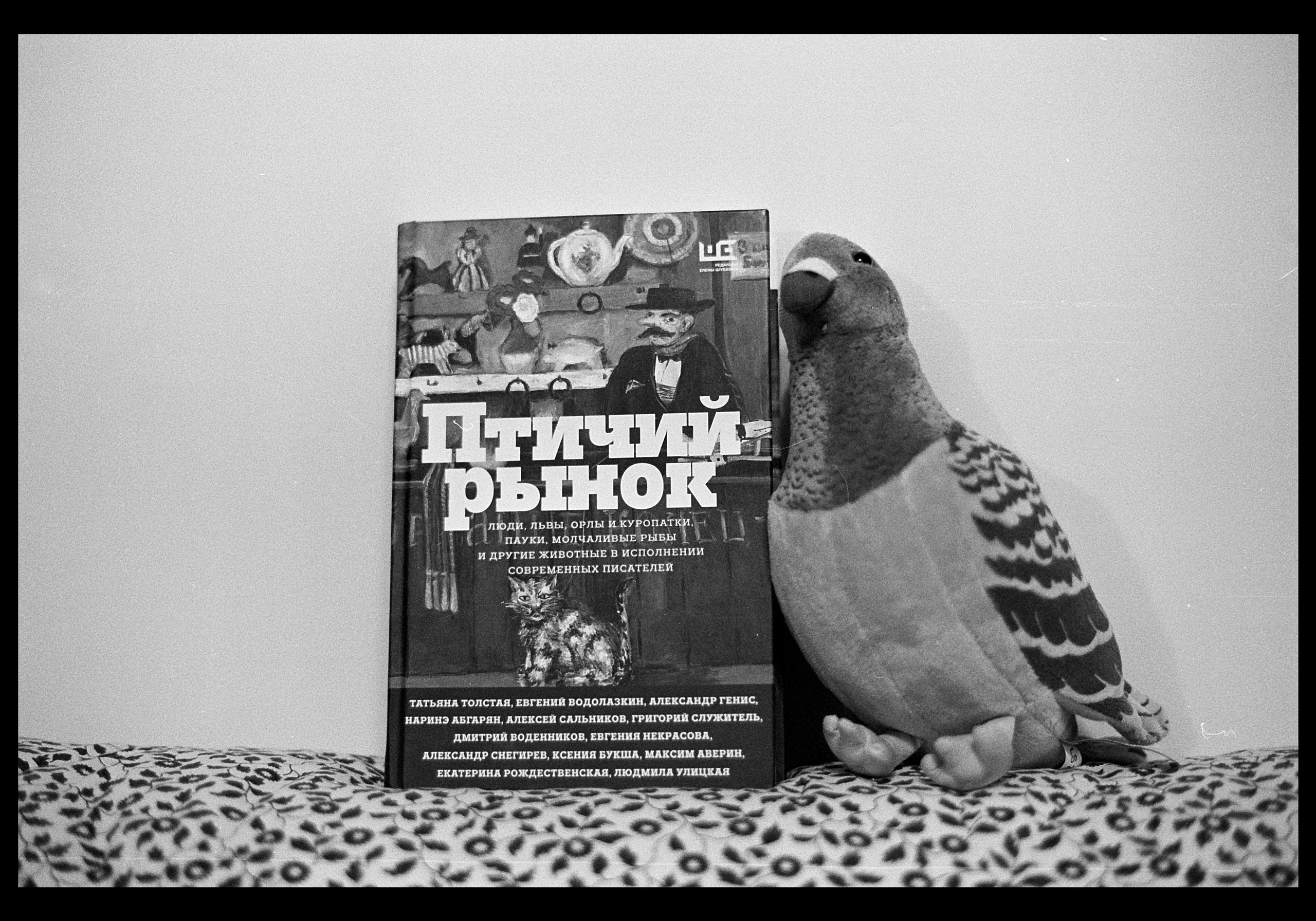 Автор: Виктор Езчелик