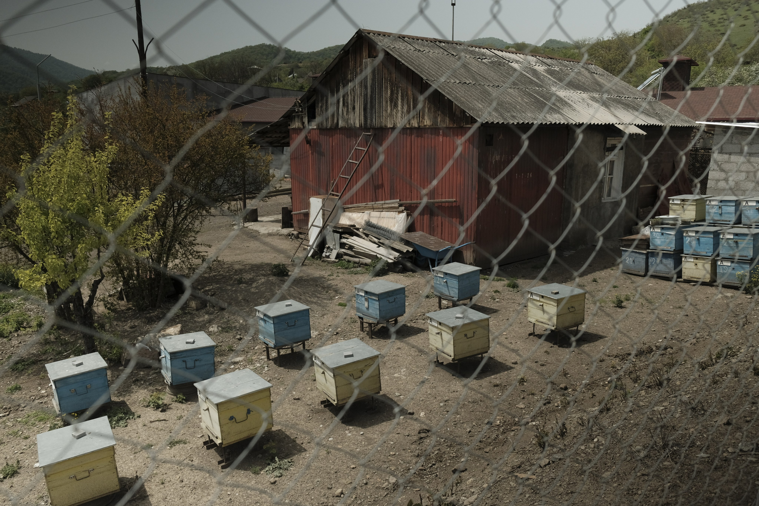 Delimitation. Kirillov Egor