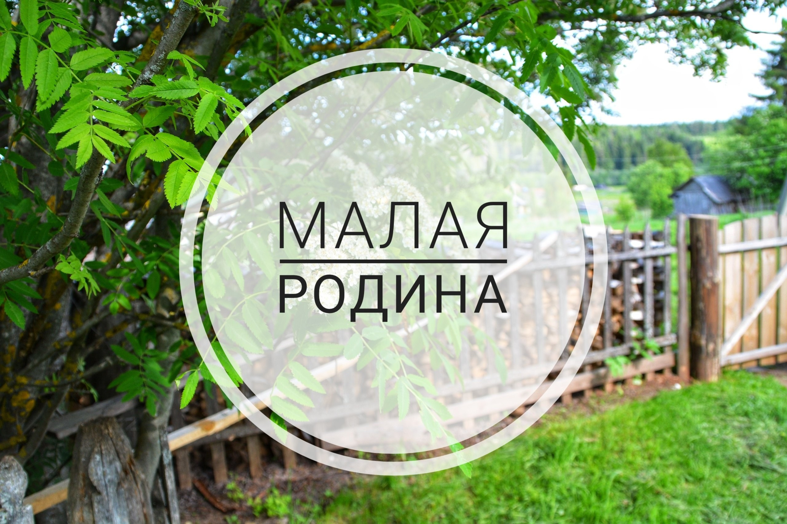 Проекты. Центр развития малых территорий «Журавель»