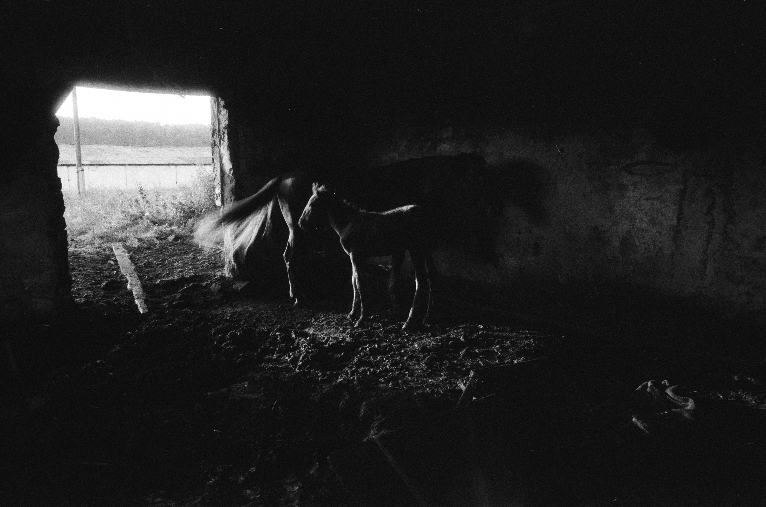 СОН О СЕЛЕ. SUVDO