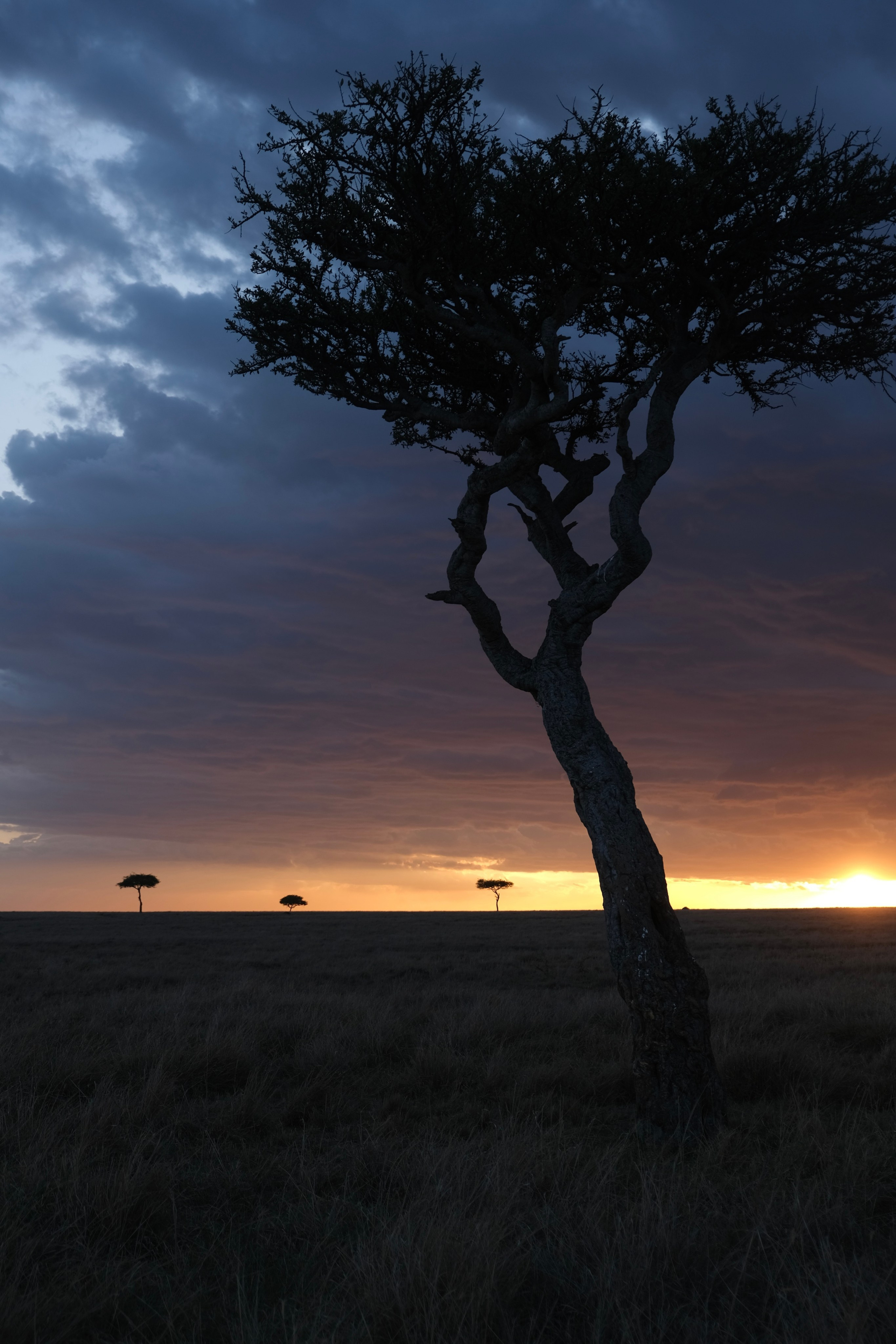 Nataresso | фотограф Москва