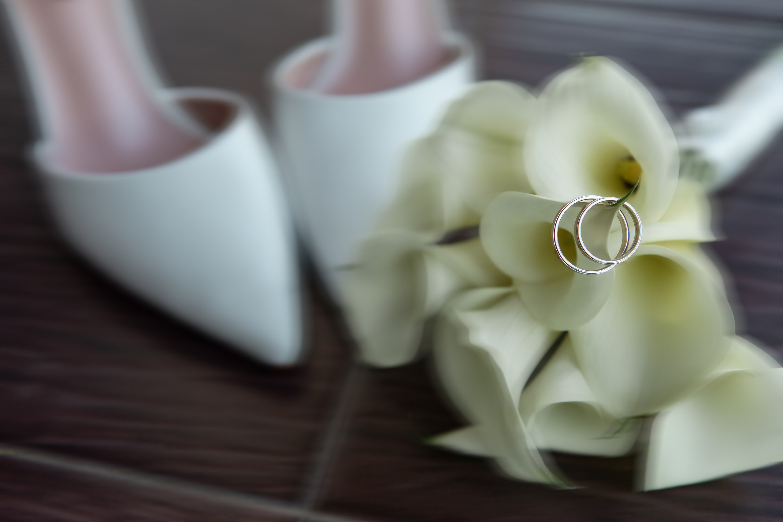 Контакты. Ксения Федорова — фотограф