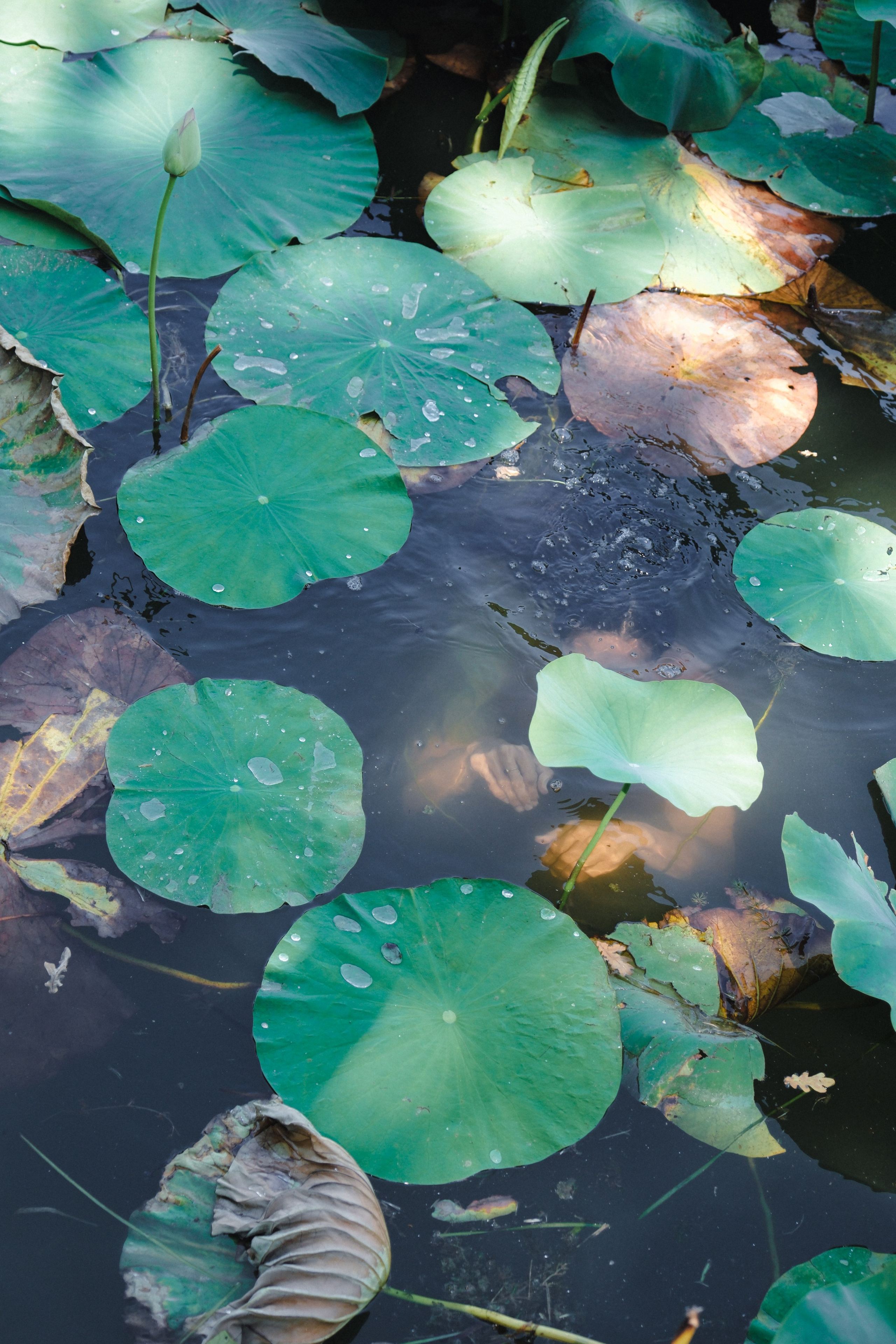 Фотограф Александра Рябова