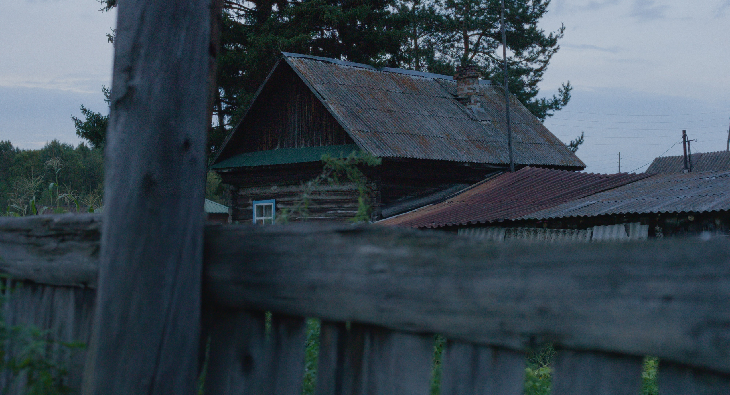 Бирюк. КРАСНОЯРСКАЯ ШКОЛА КИНО