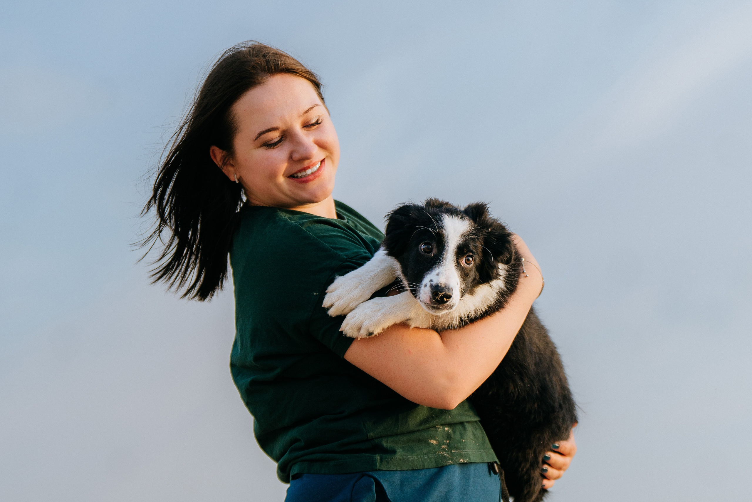 Фотосессия со щенками колли. Фотограф анималист в Спб недорого Олеся Майорова