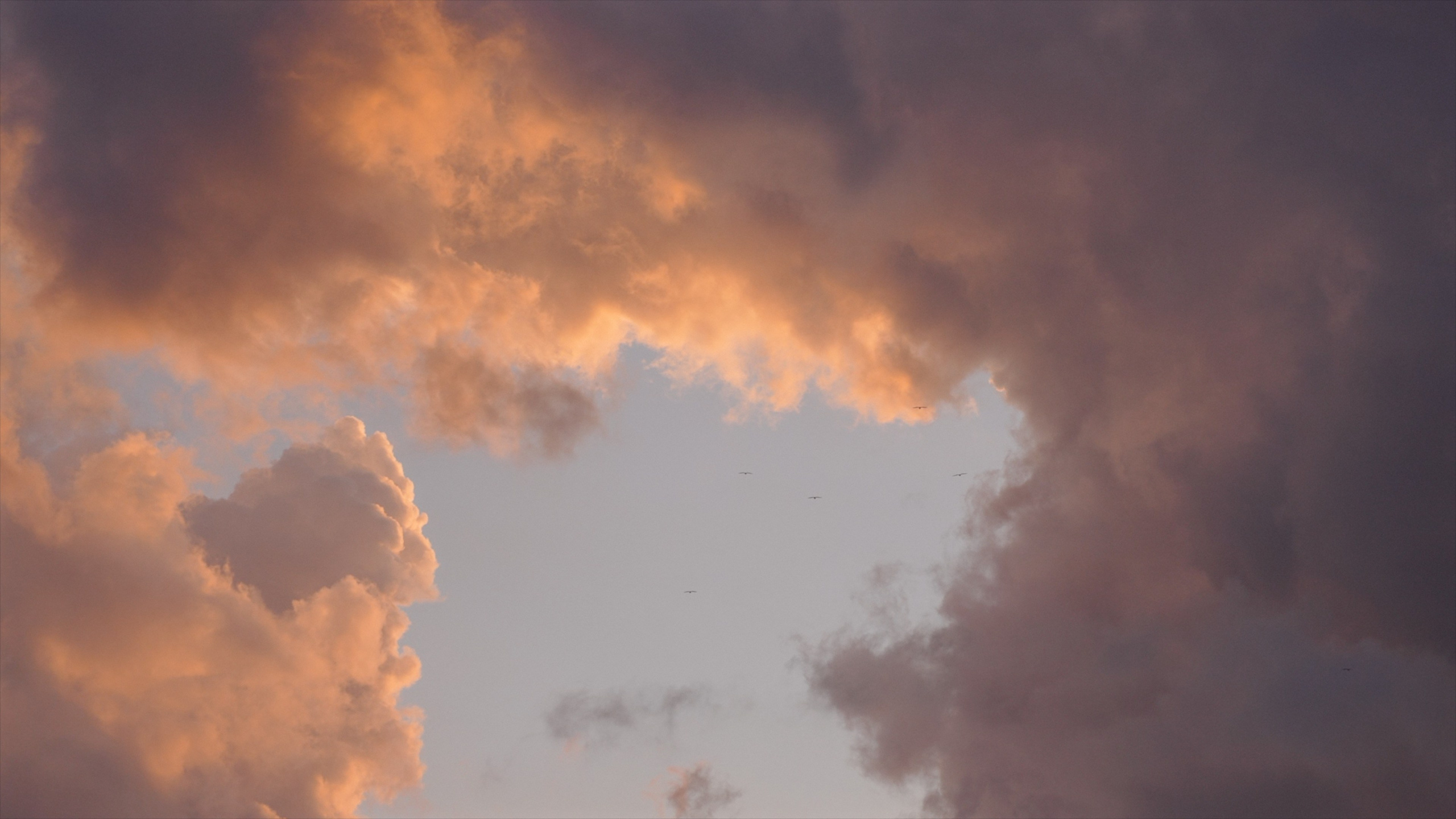 Екатерина и Егор. Агата Акварель видеограф Сочи Краснодар