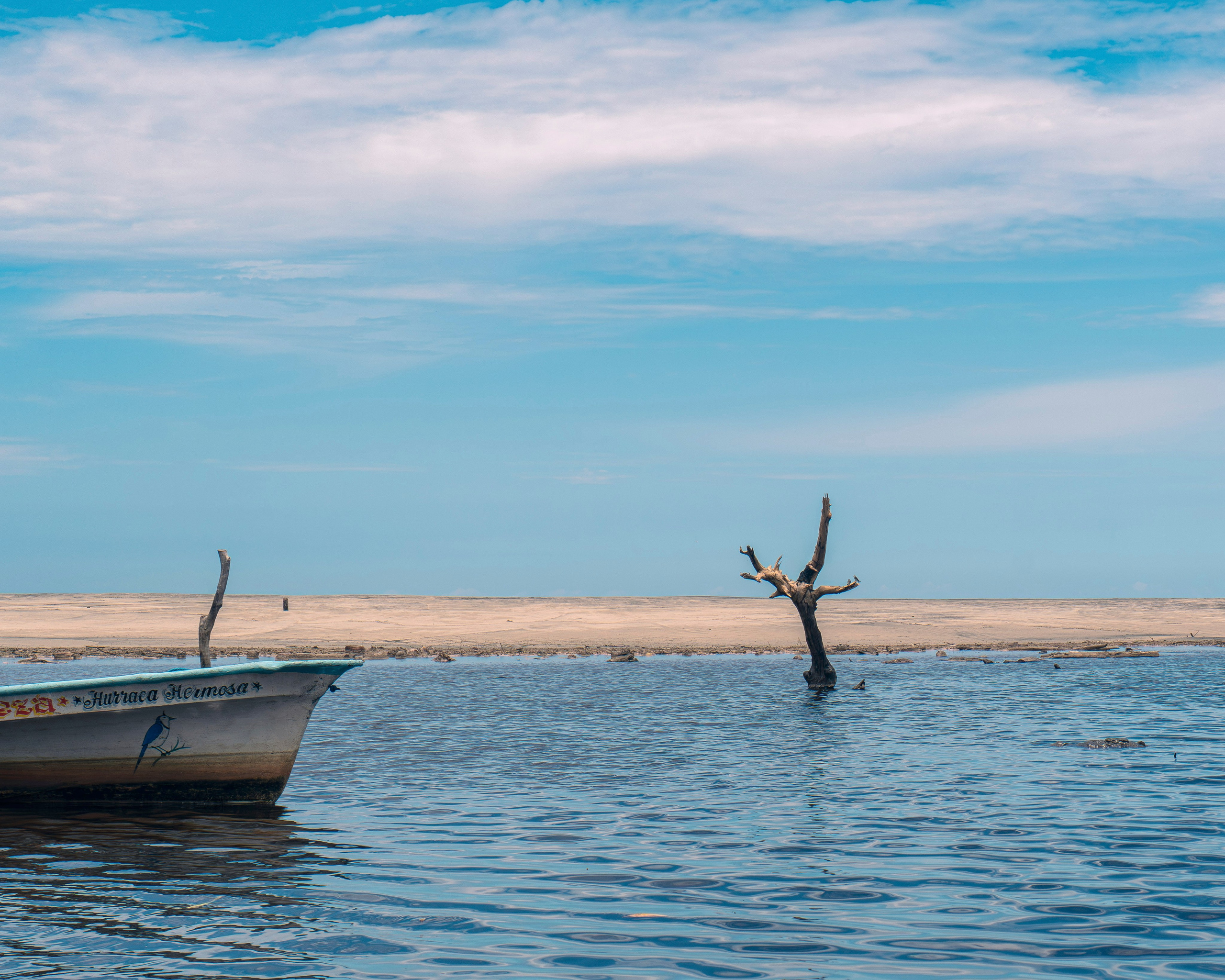 Crocos’ Paradise. CDMX Photography | Alex Klenin| Portrait & Event Photographer
