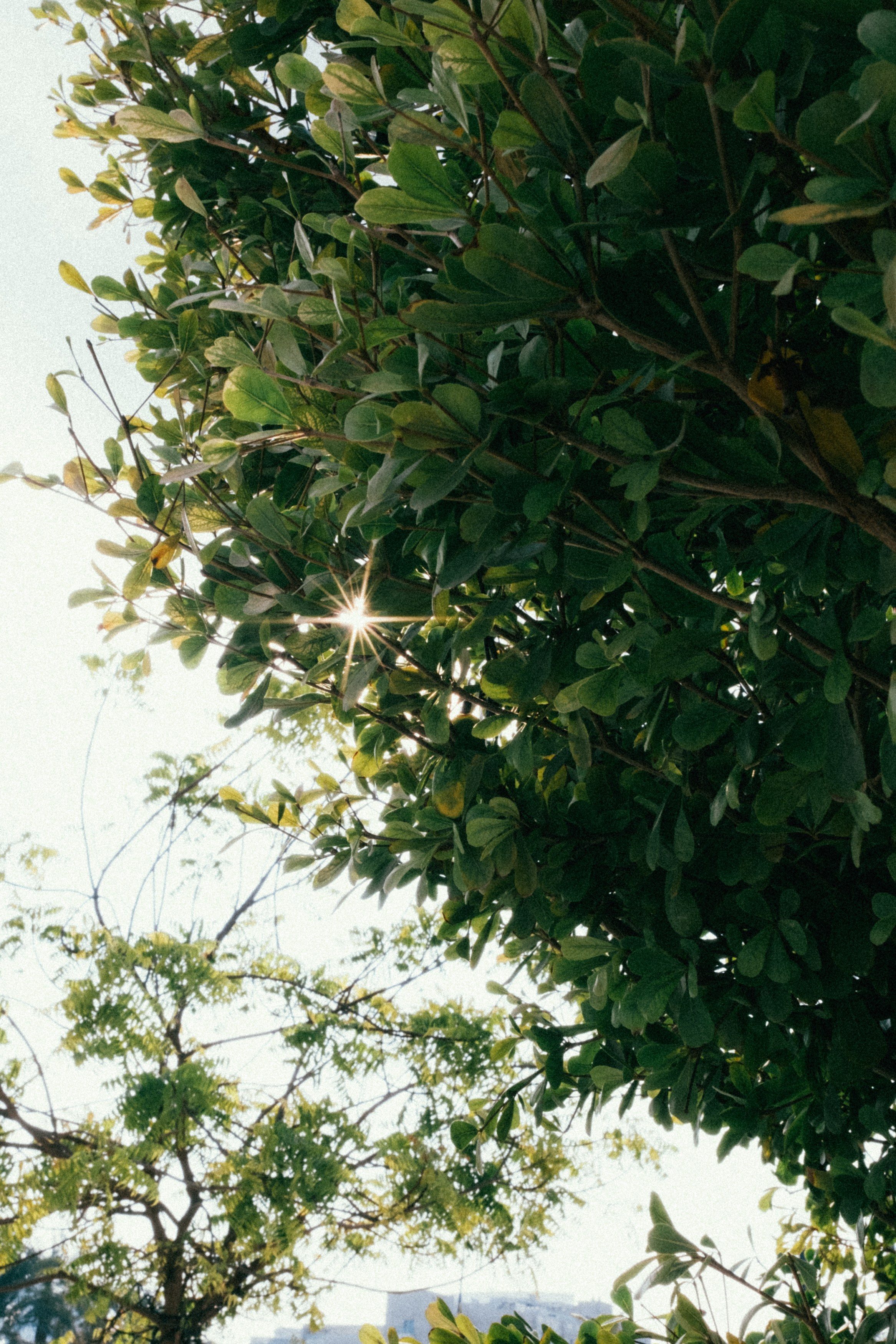 Old Town Dubai. Персональный фотограф Москва Кислякова Алина. Фотограф в Дубае, ОАЭ