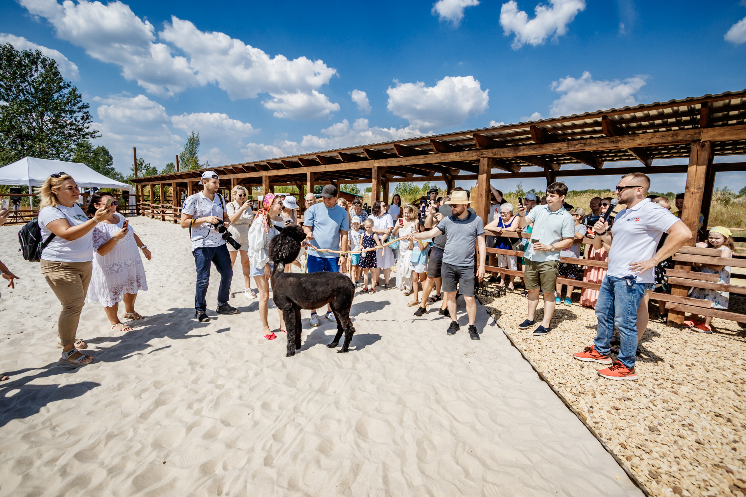 Альпака-парк, анонс. Марк Шишкин — репортажный фотограф в Воронеже и России