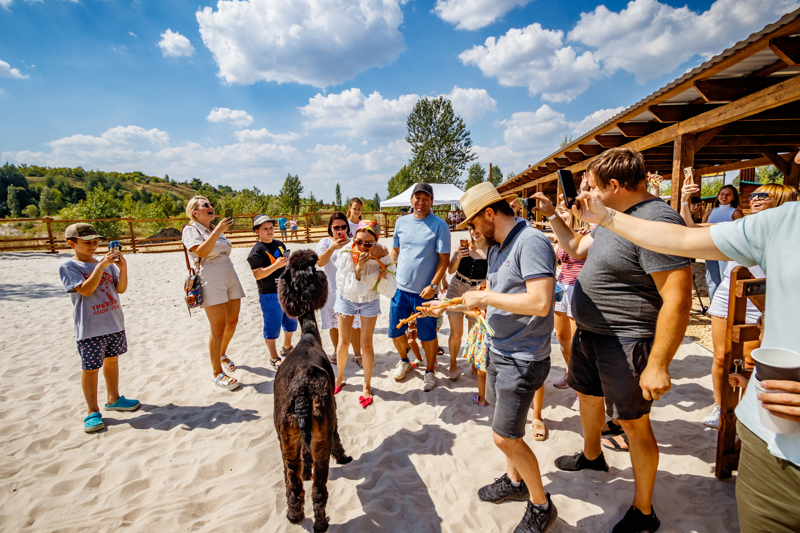 Альпака-парк, анонс. Марк Шишкин — репортажный фотограф в Воронеже и России
