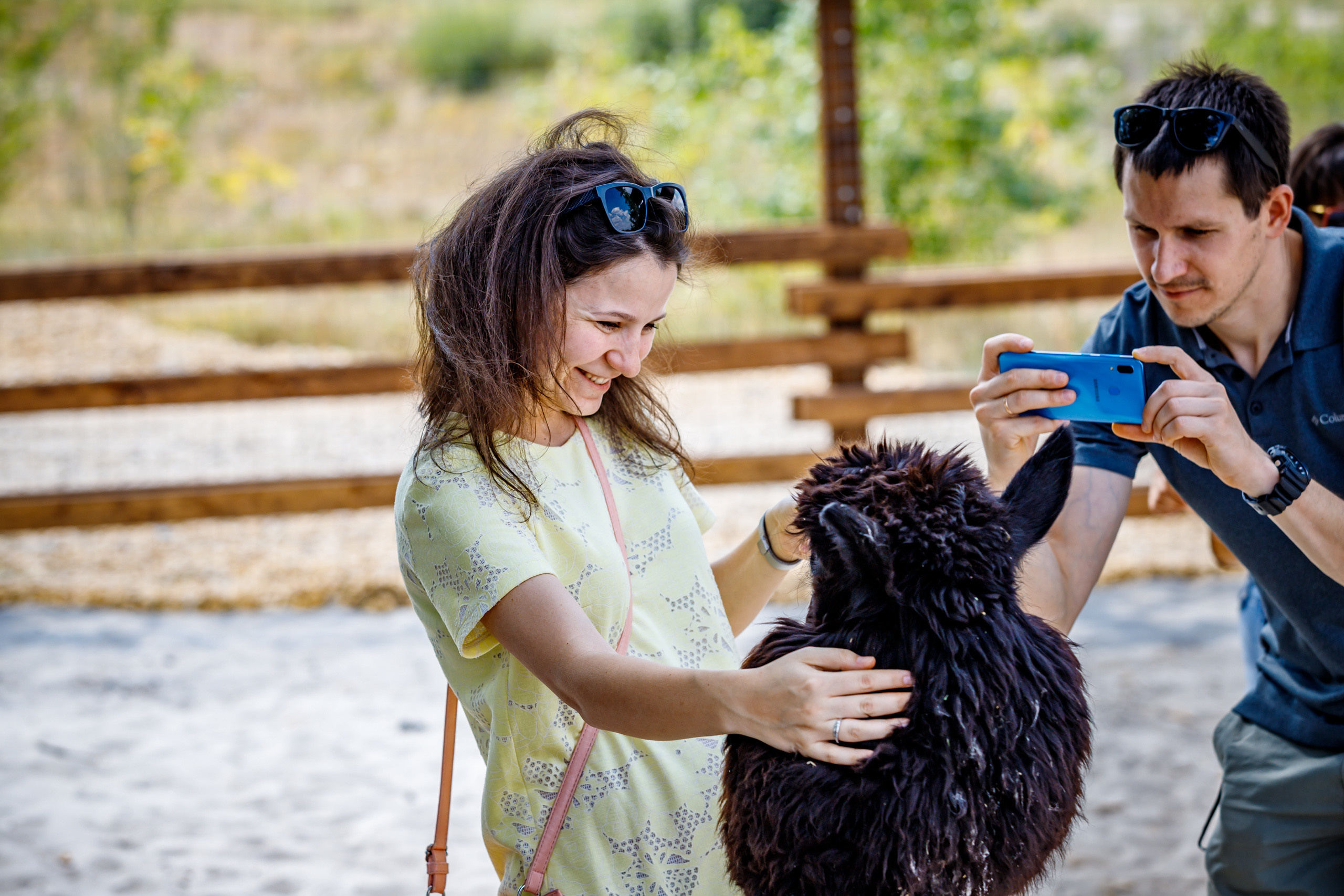 Альпака-парк, анонс. Марк Шишкин — репортажный фотограф в Воронеже и России