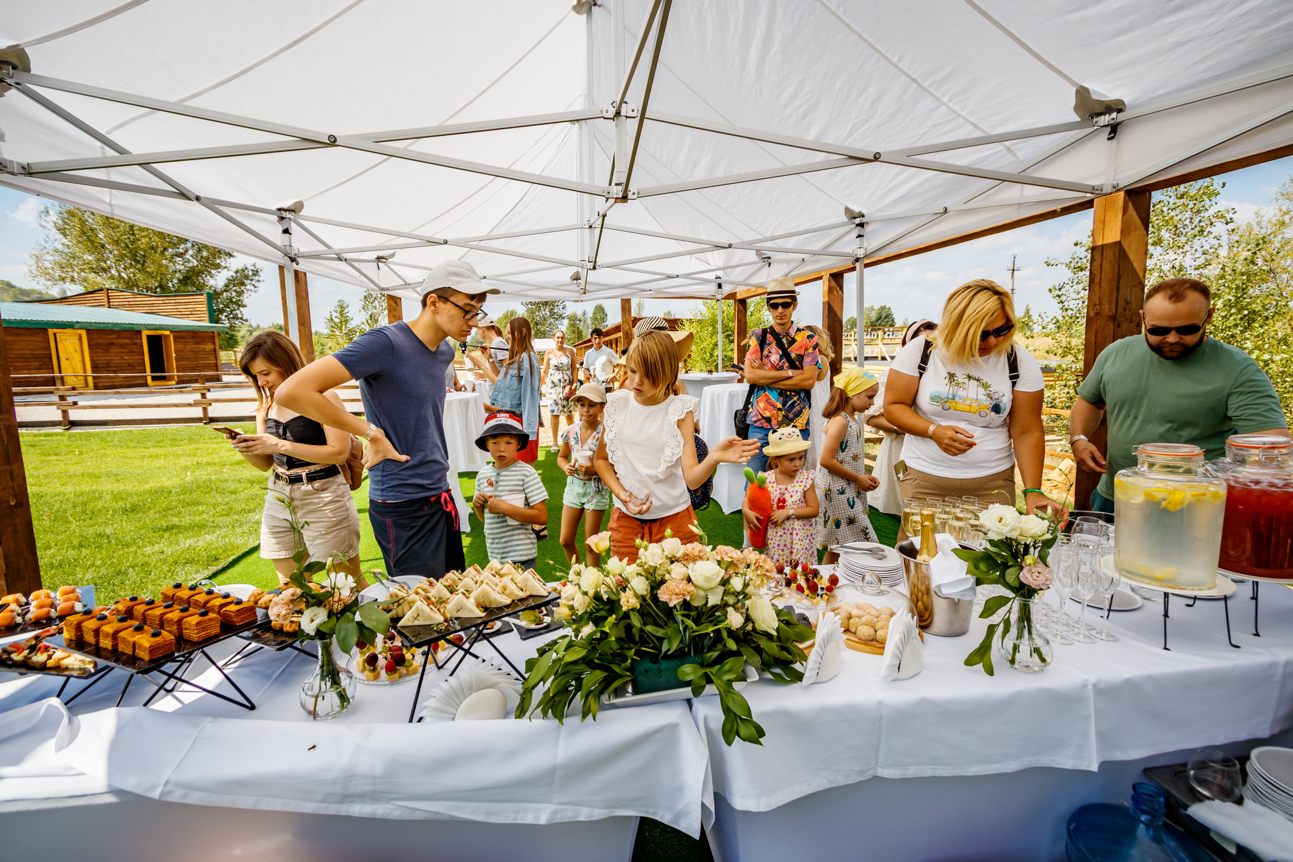 Альпака-парк, анонс. Марк Шишкин — репортажный фотограф в Воронеже и России