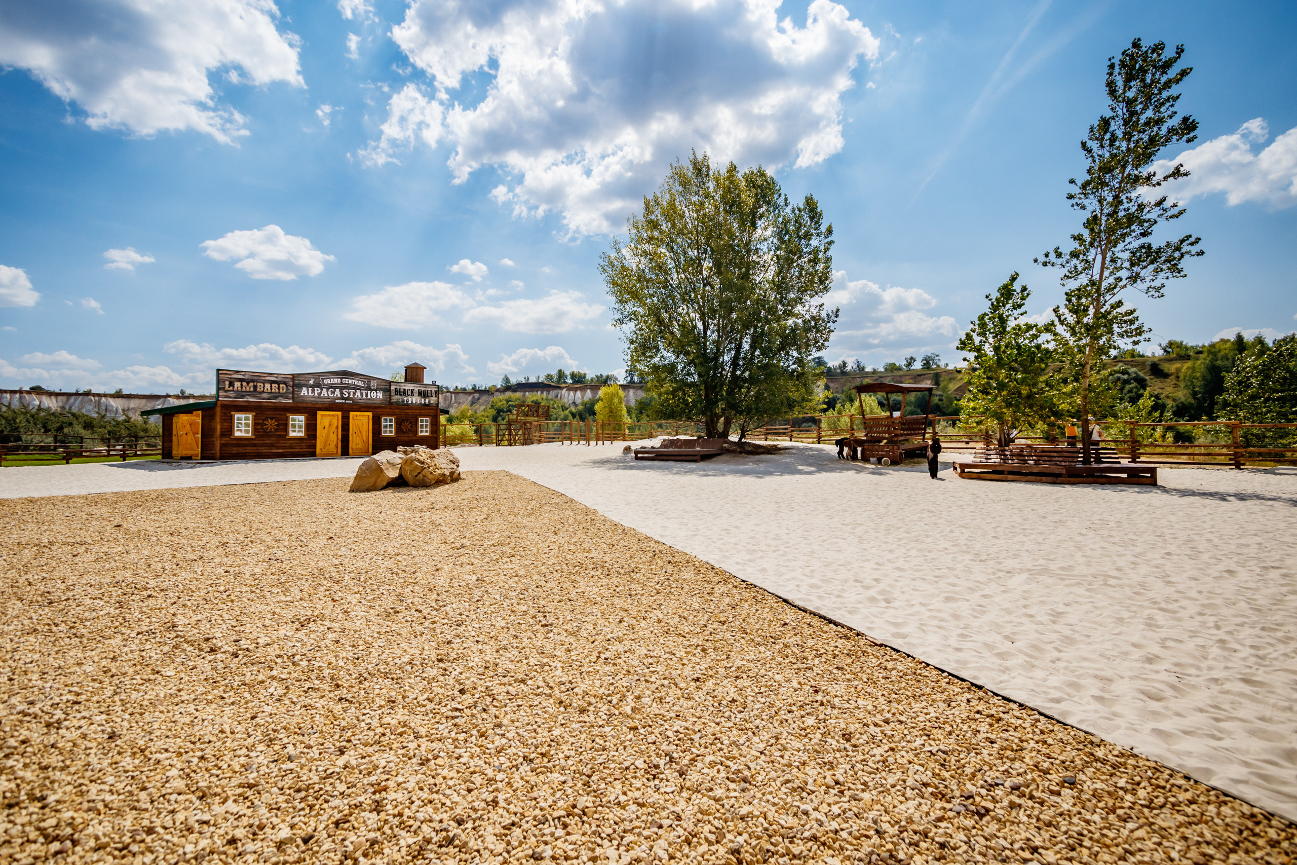 Альпака-парк, анонс. Марк Шишкин — репортажный фотограф в Воронеже и России