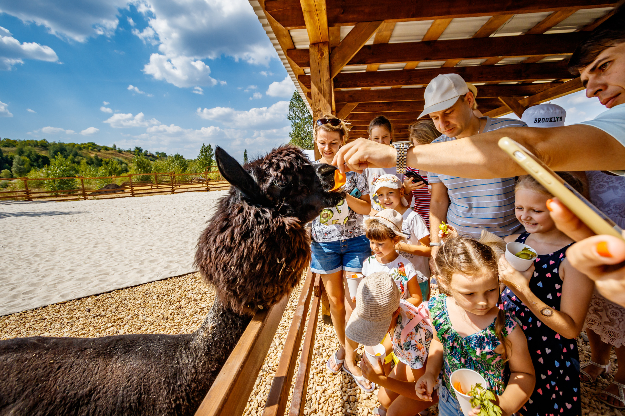 Альпака-парк, анонс. Марк Шишкин — репортажный фотограф в Воронеже и России
