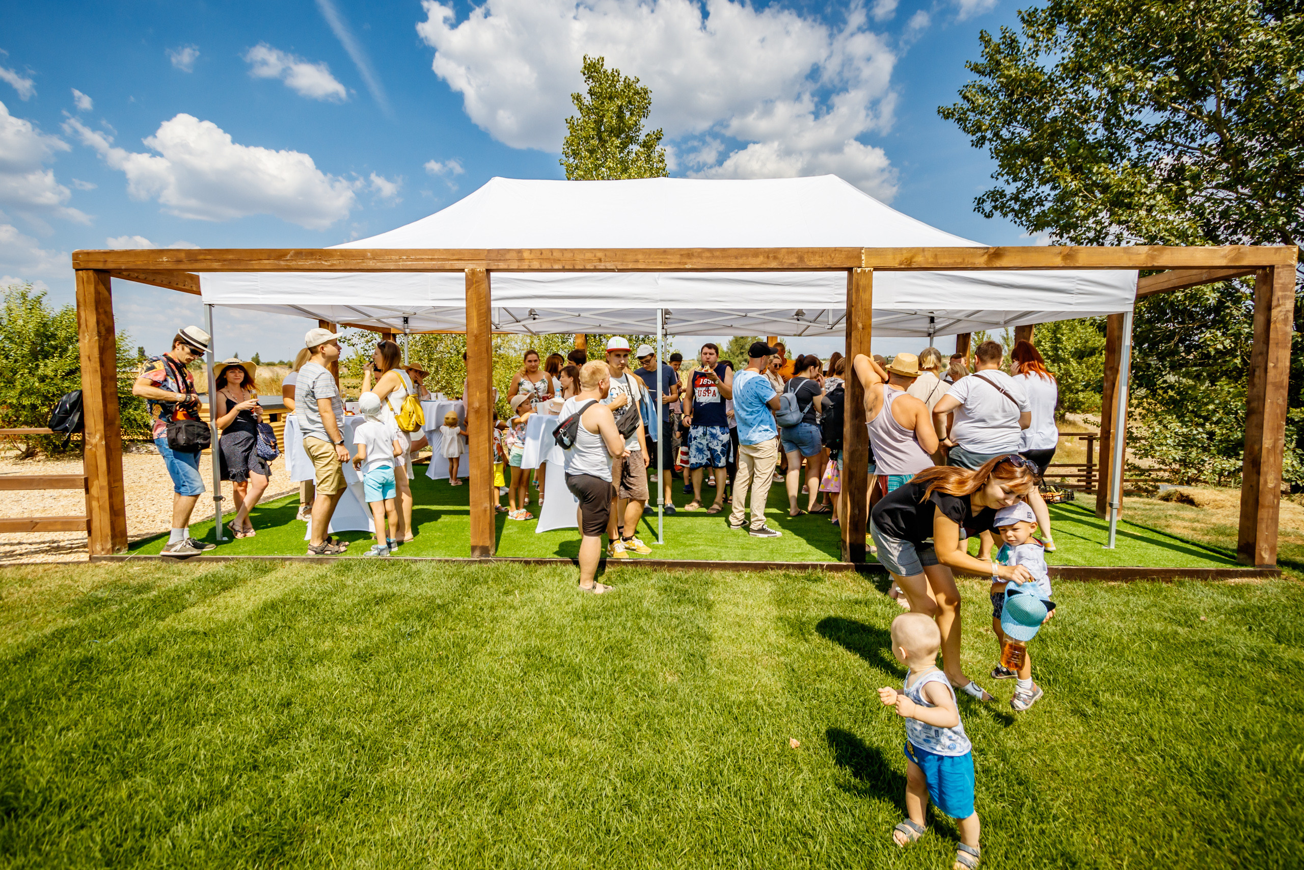 Альпака-парк, анонс. Марк Шишкин — репортажный фотограф в Воронеже и России