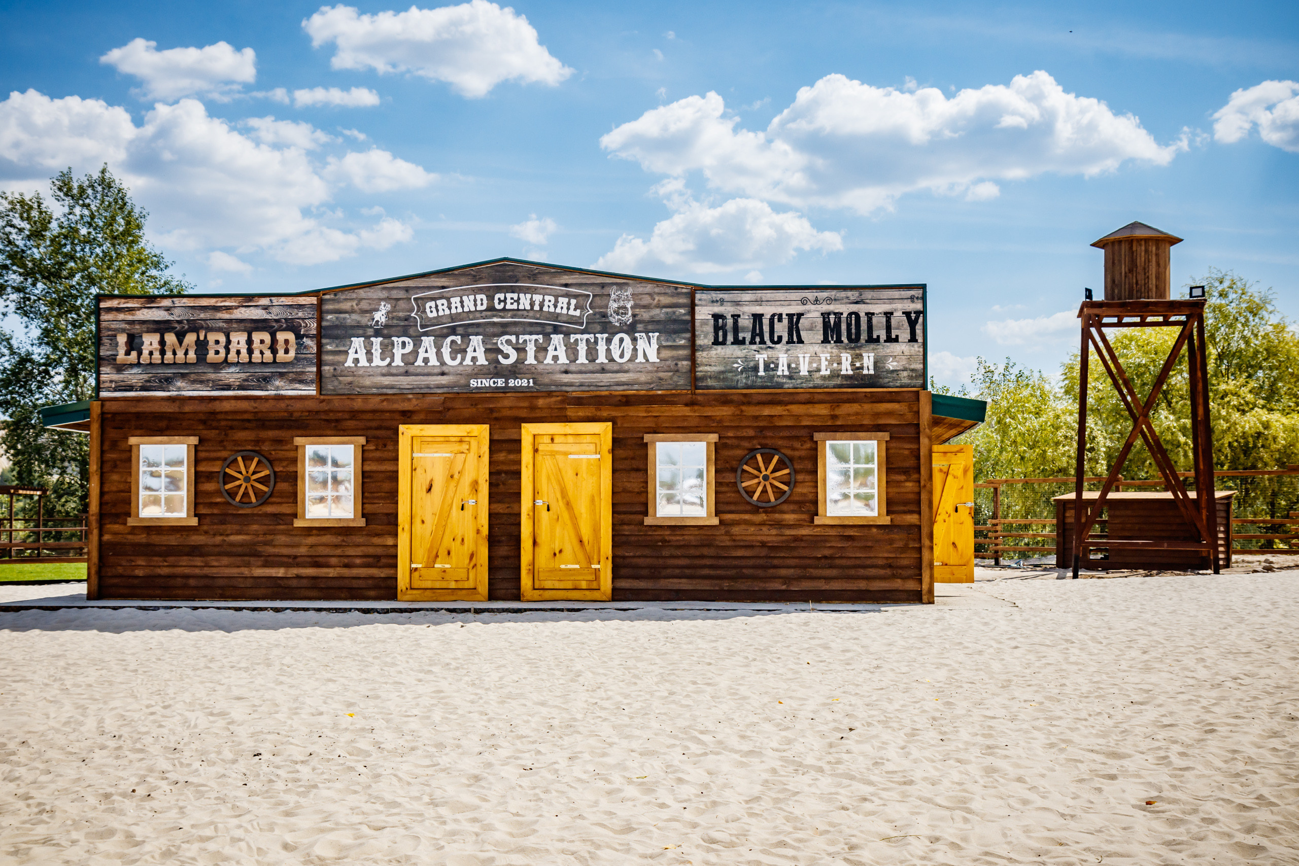 Альпака-парк, анонс. Марк Шишкин — репортажный фотограф в Воронеже и России