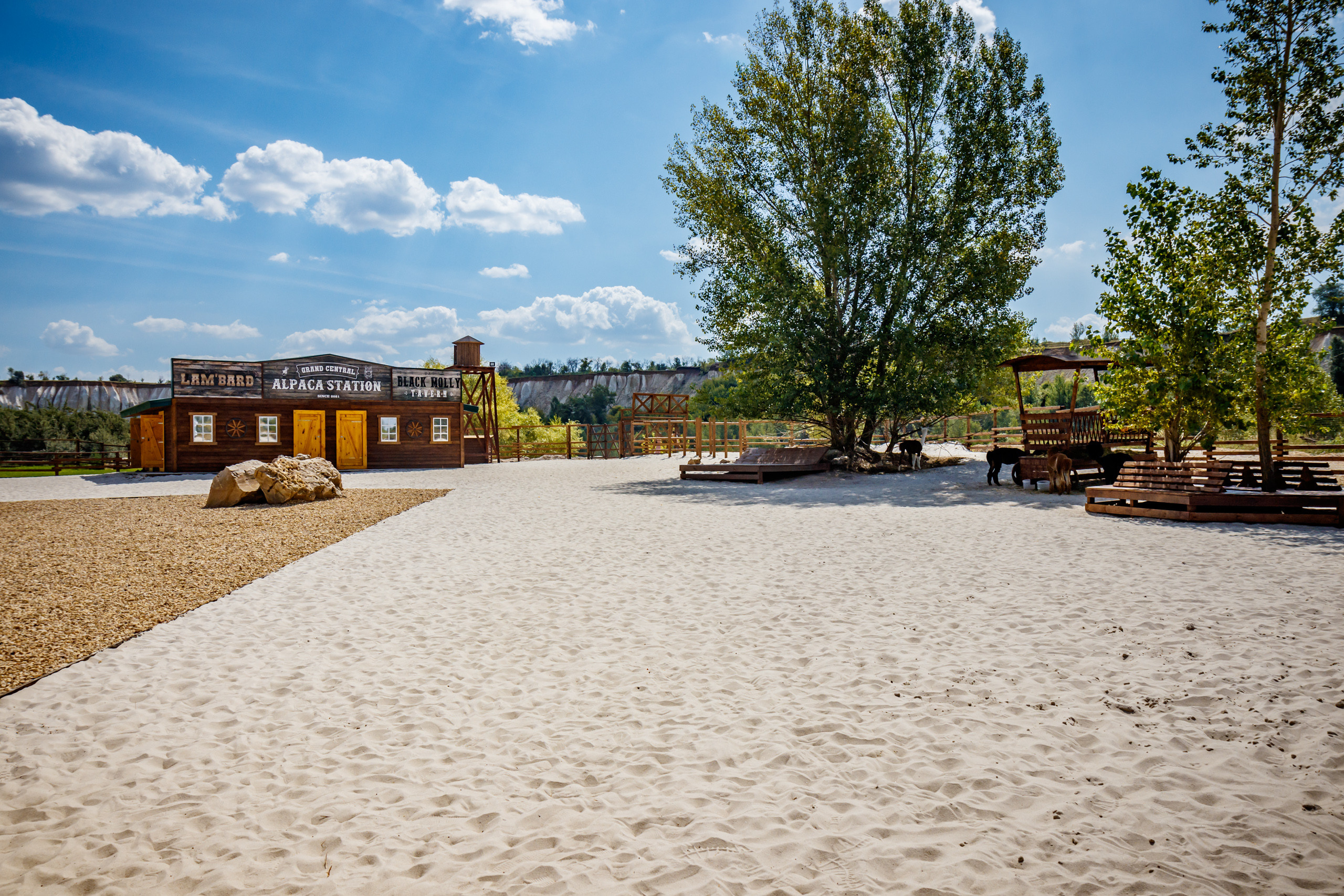 Альпака-парк, анонс. Марк Шишкин — репортажный фотограф в Воронеже и России