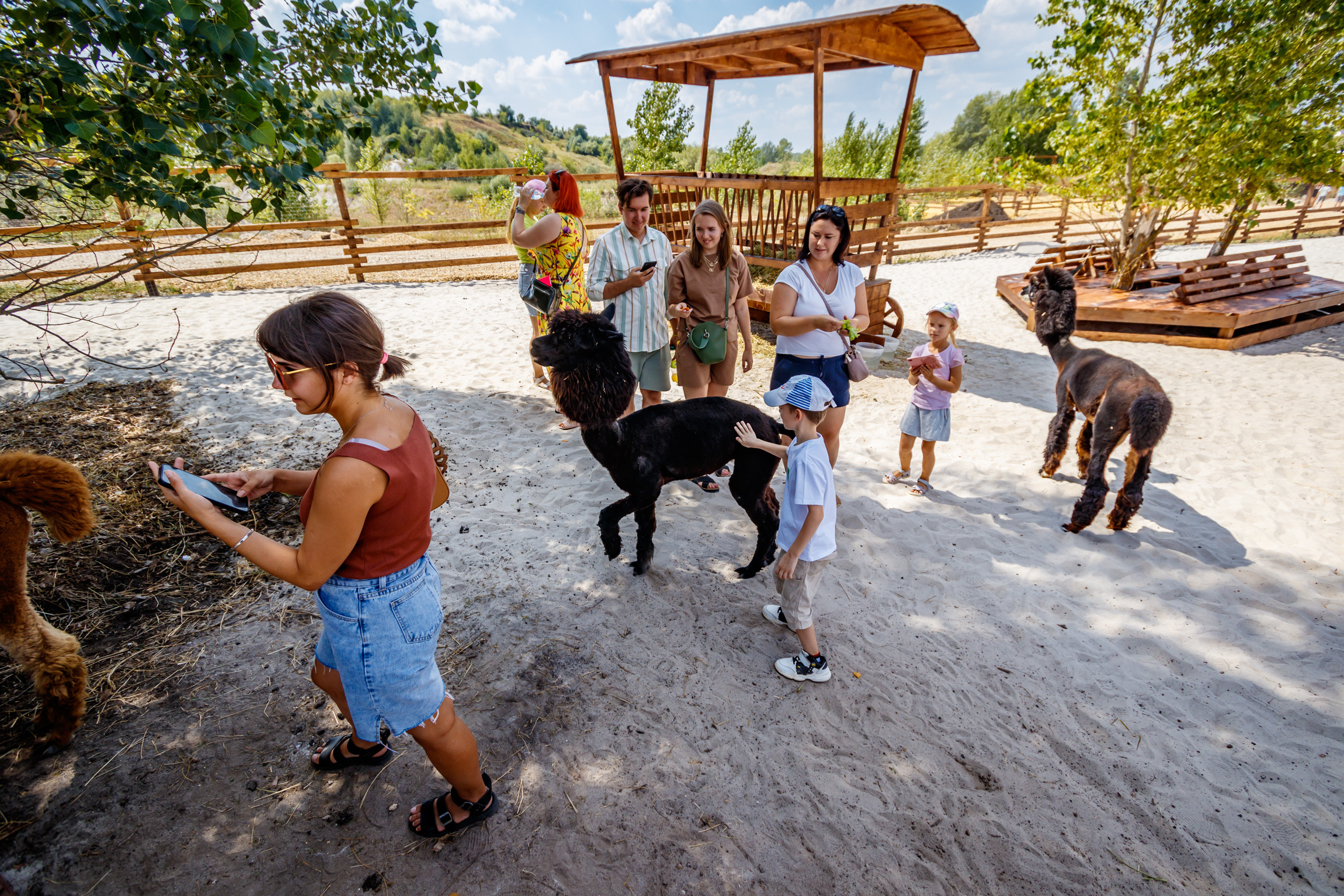 Альпака-парк, анонс. Марк Шишкин — репортажный фотограф в Воронеже и России