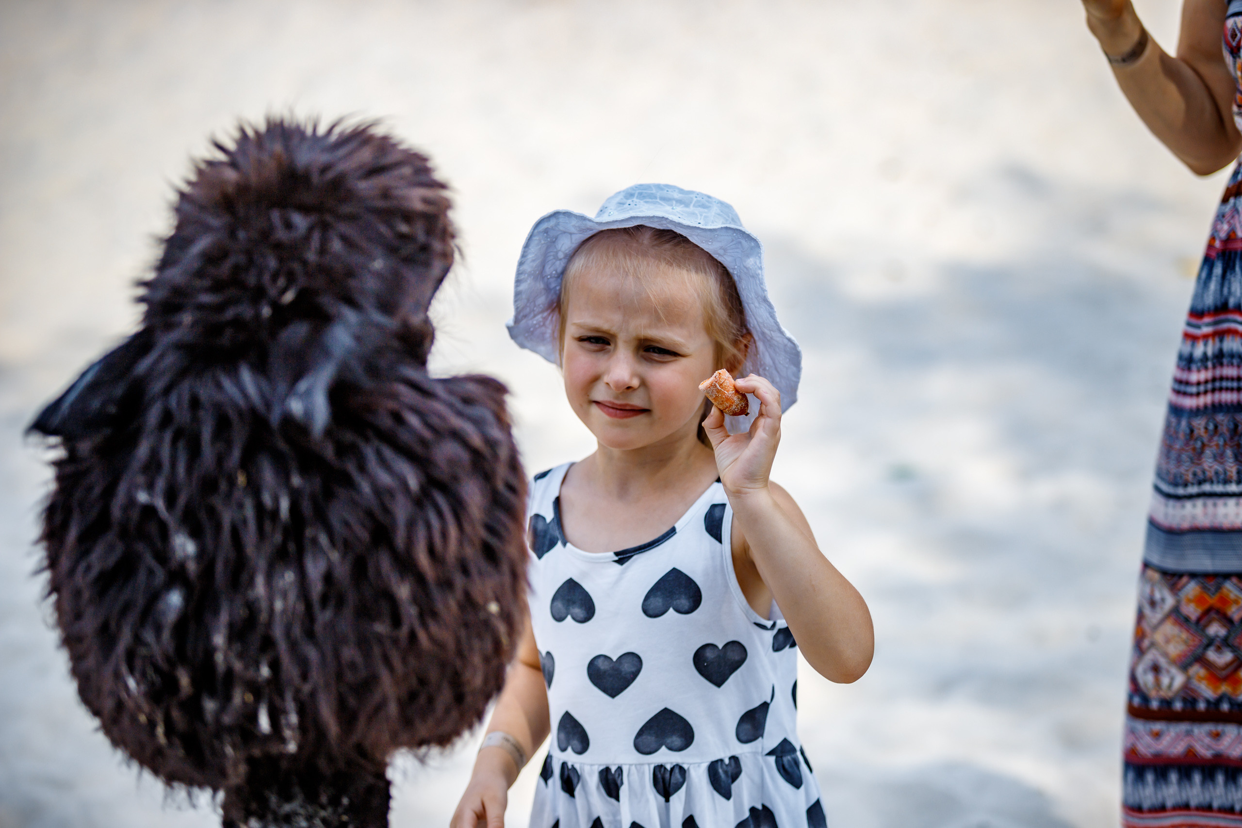 Альпака-парк, анонс. Марк Шишкин — репортажный фотограф в Воронеже и России