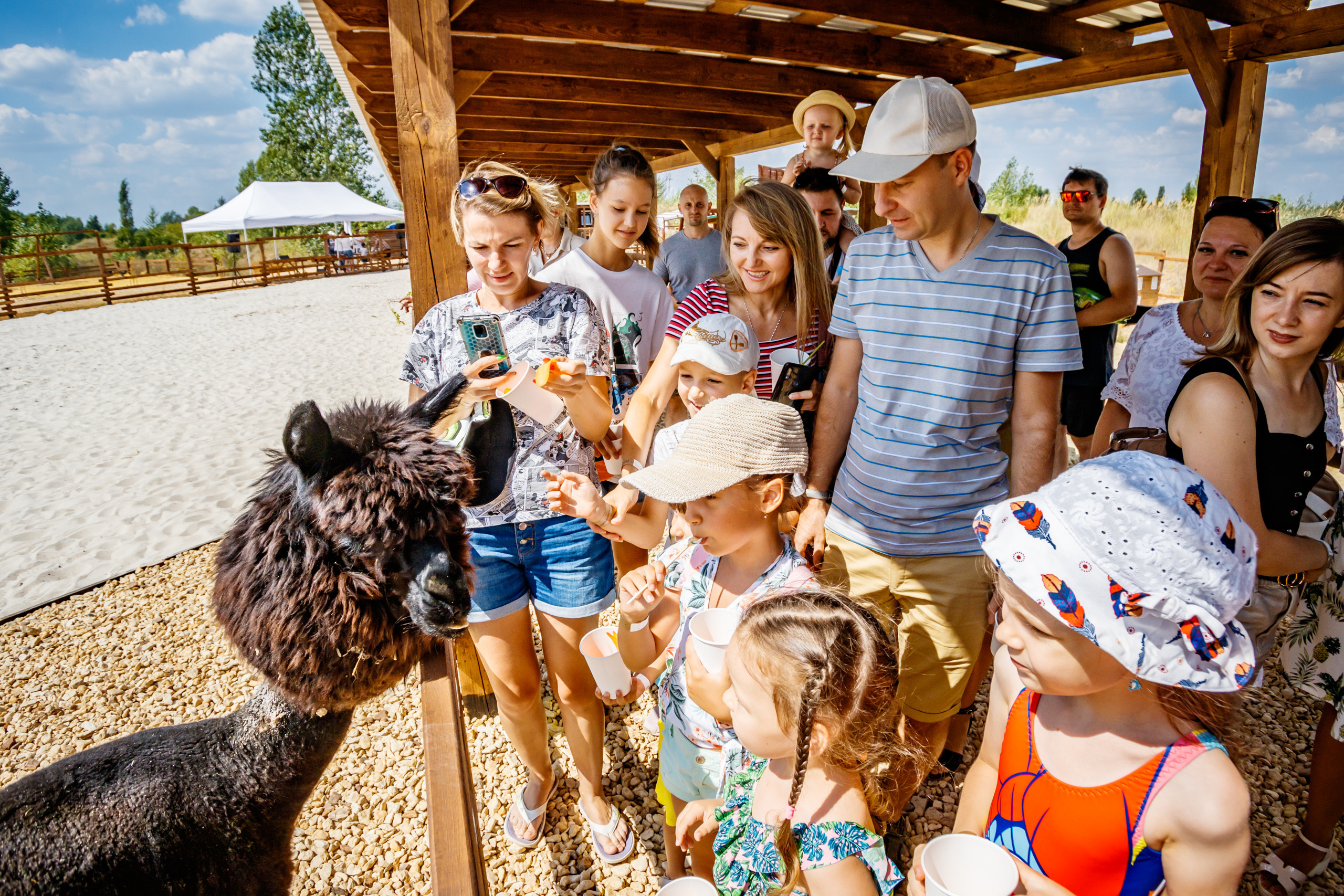 Альпака-парк, анонс. Марк Шишкин — репортажный фотограф в Воронеже и России