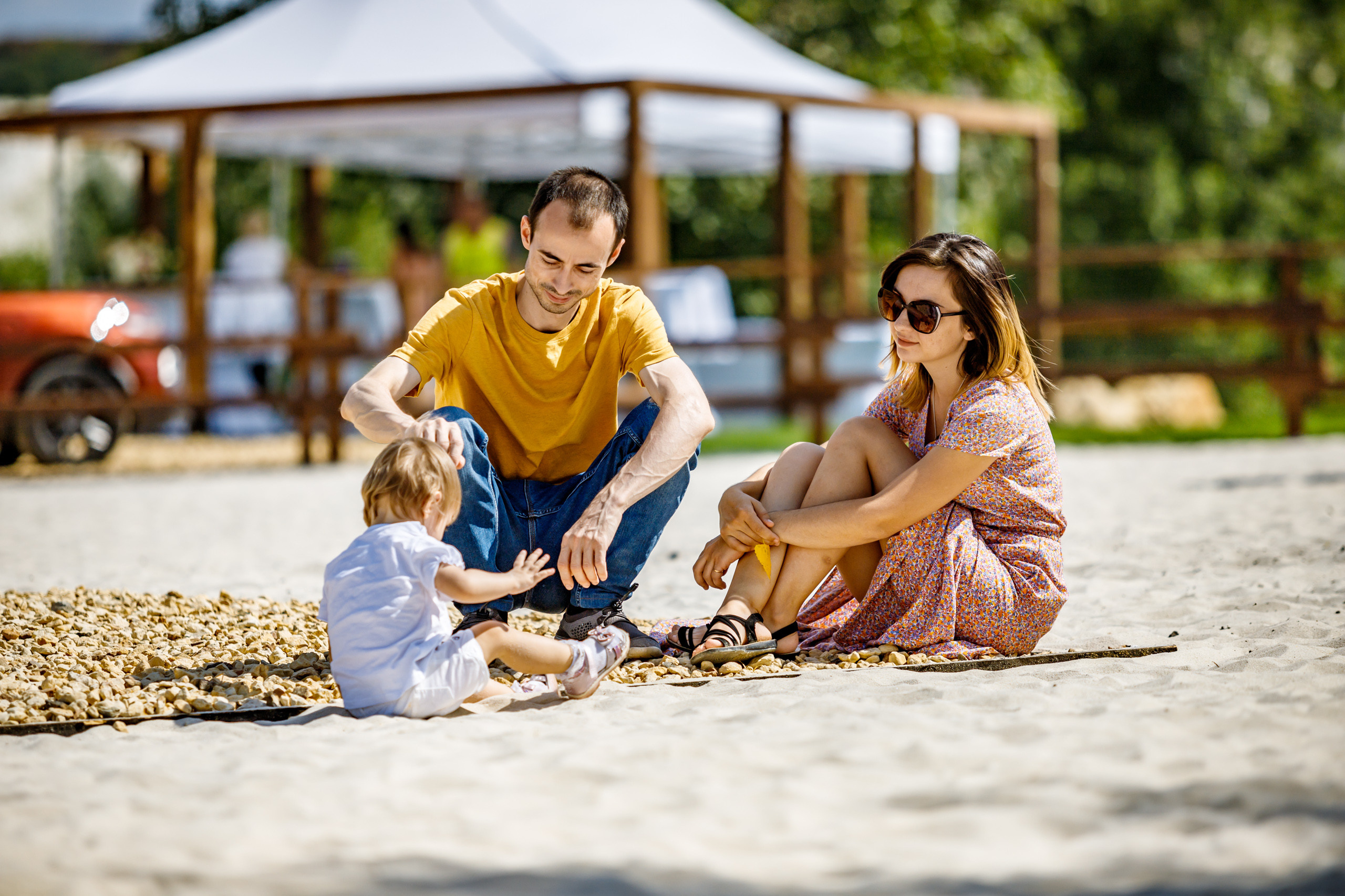 Альпака-парк, анонс. Марк Шишкин — репортажный фотограф в Воронеже и России