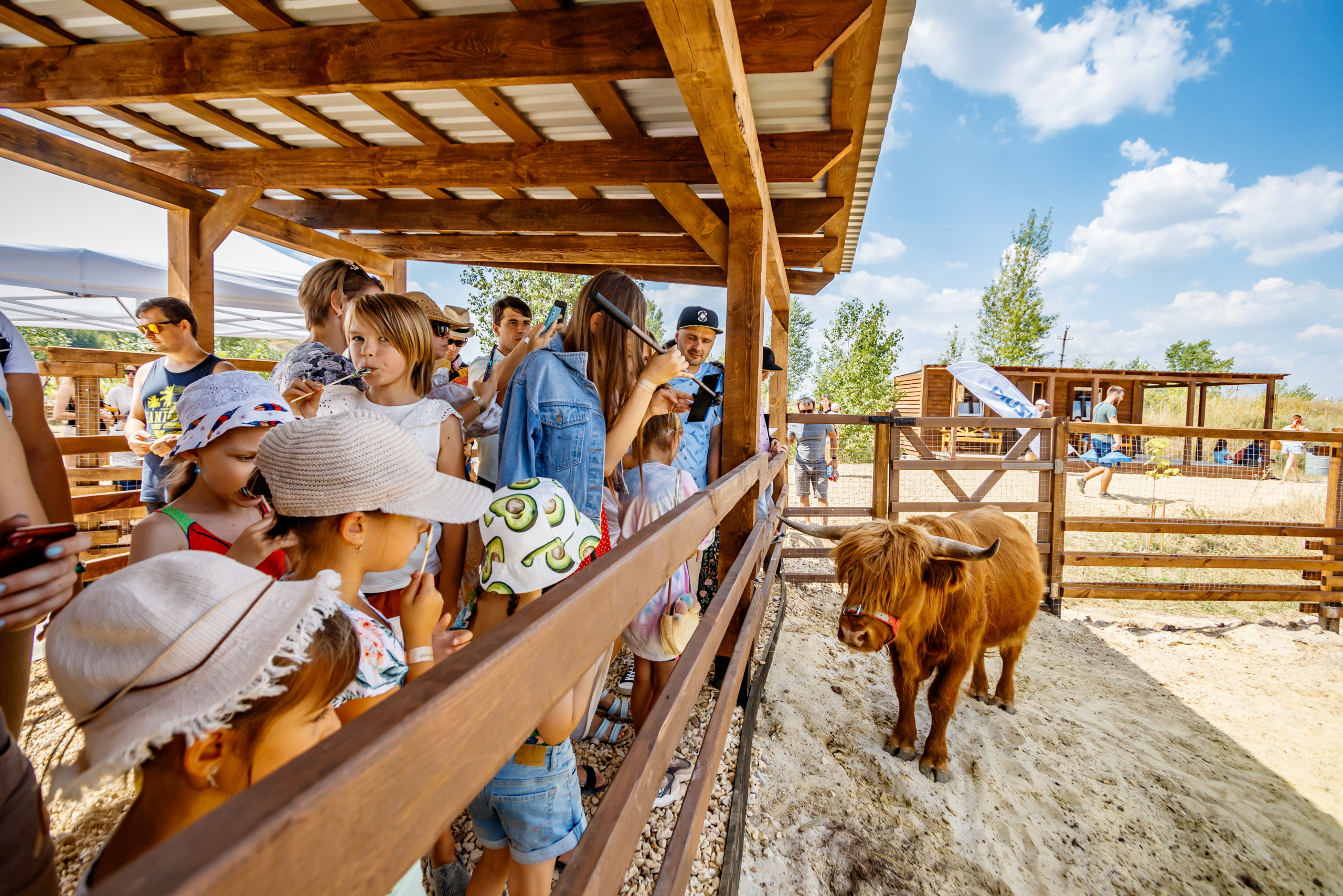 Альпака-парк, анонс. Марк Шишкин — репортажный фотограф в Воронеже и России