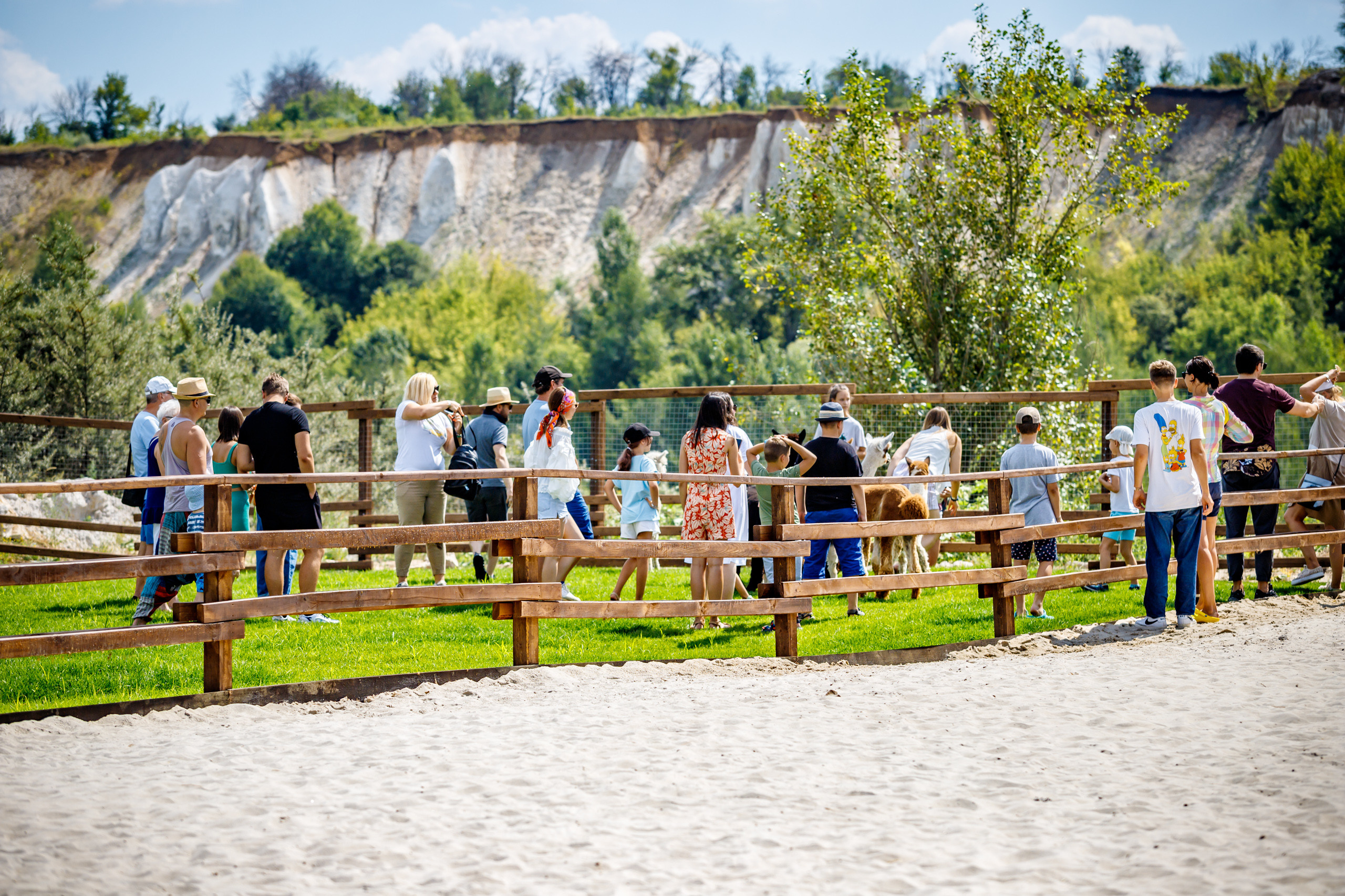 Альпака-парк, анонс. Марк Шишкин — репортажный фотограф в Воронеже и России