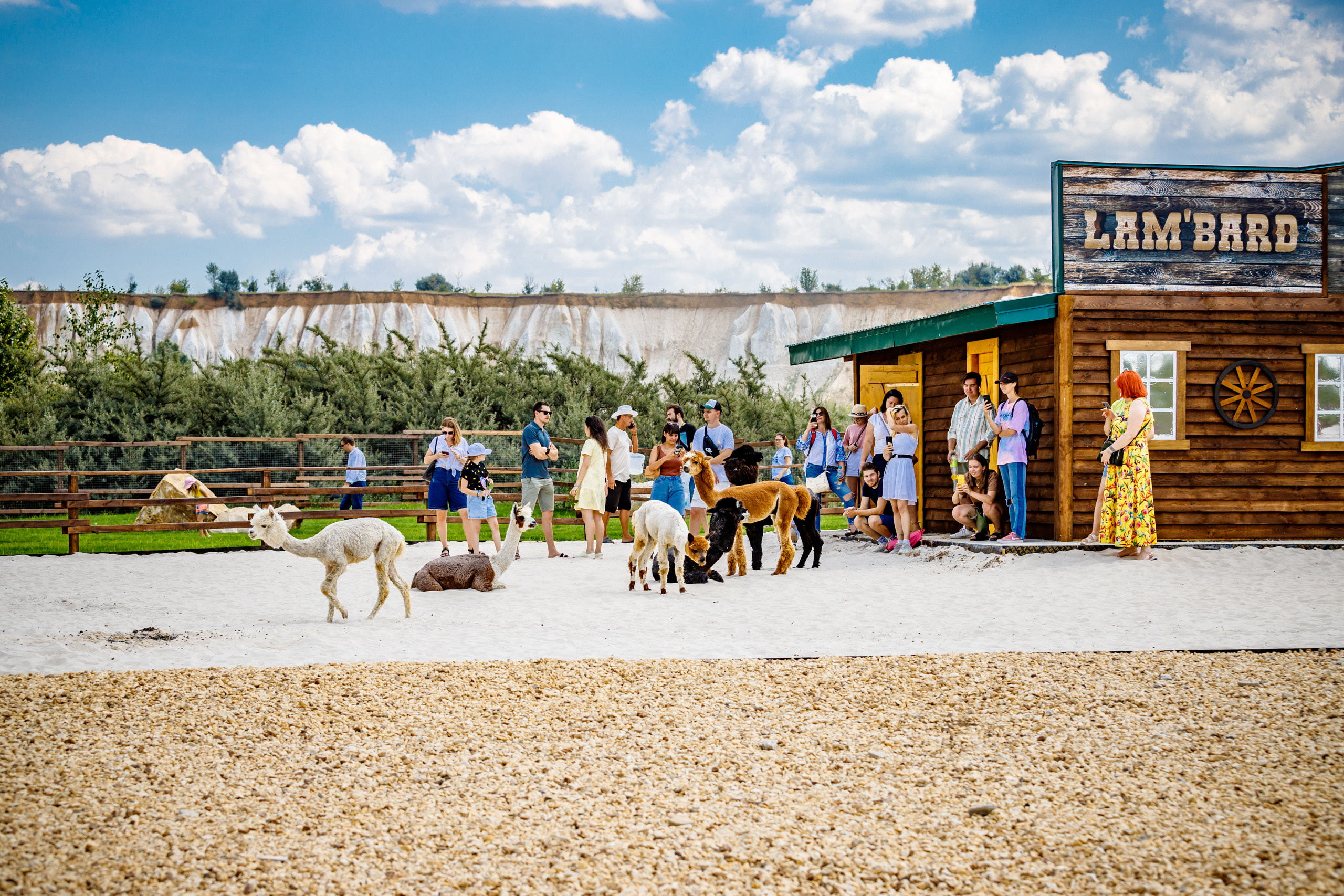 Альпака-парк, анонс. Марк Шишкин — репортажный фотограф в Воронеже и России