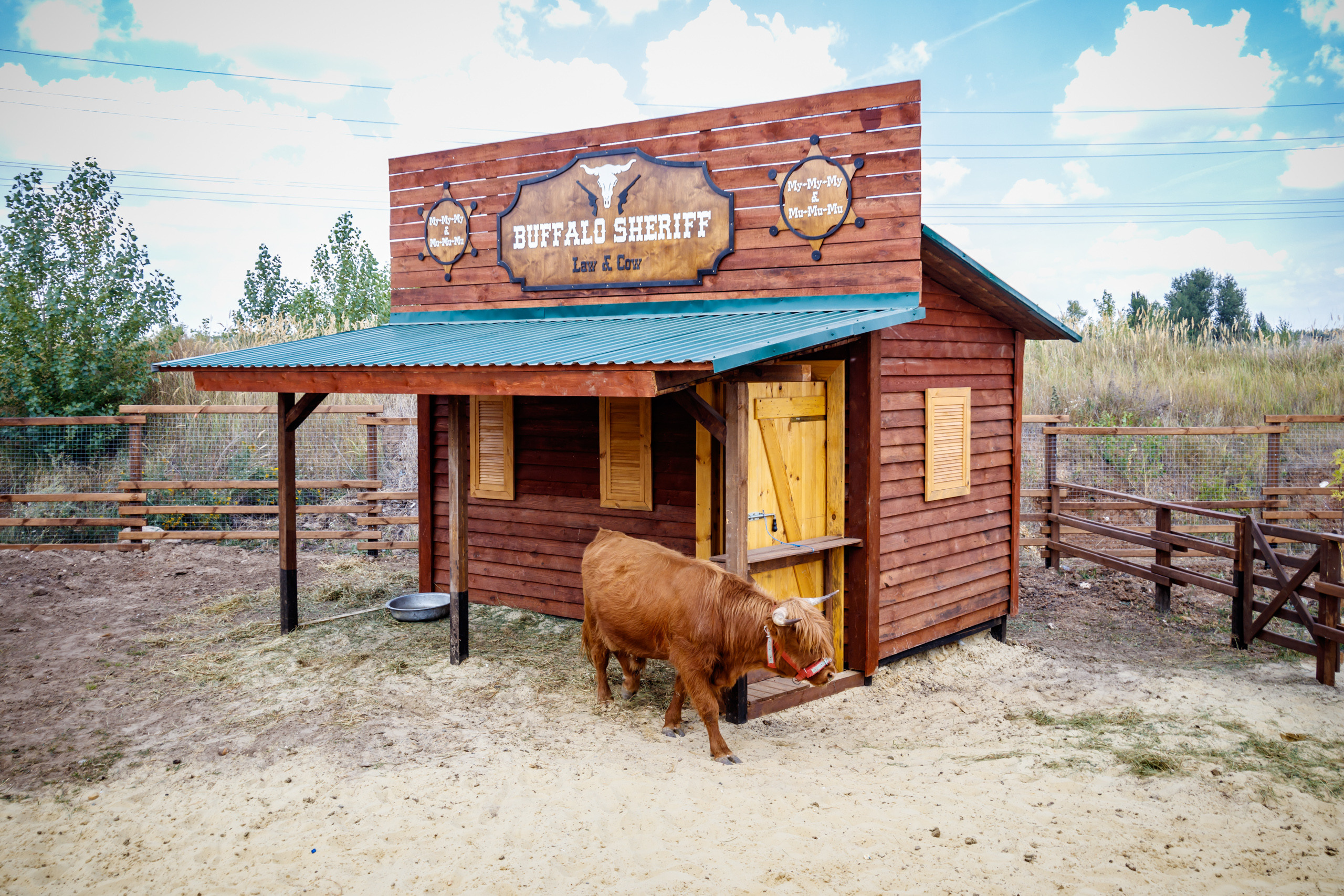 Альпака-парк, анонс. Марк Шишкин — репортажный фотограф в Воронеже и России