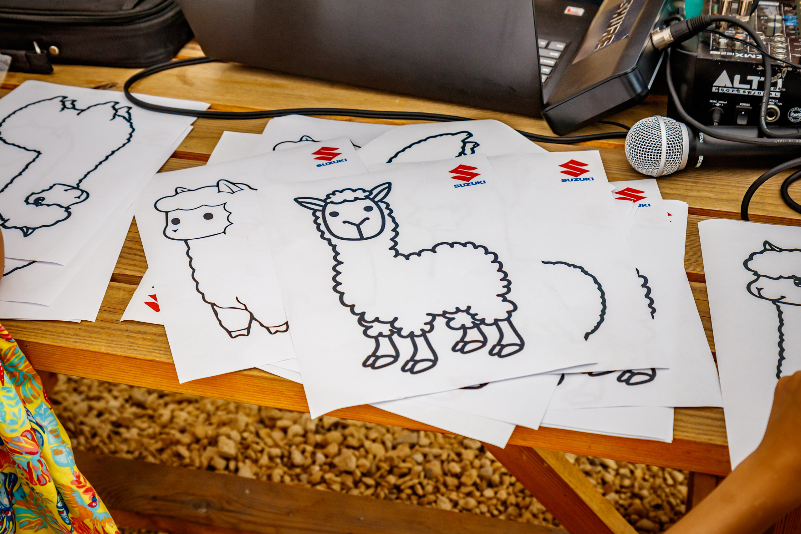 Альпака-парк, анонс. Марк Шишкин — репортажный фотограф в Воронеже и России