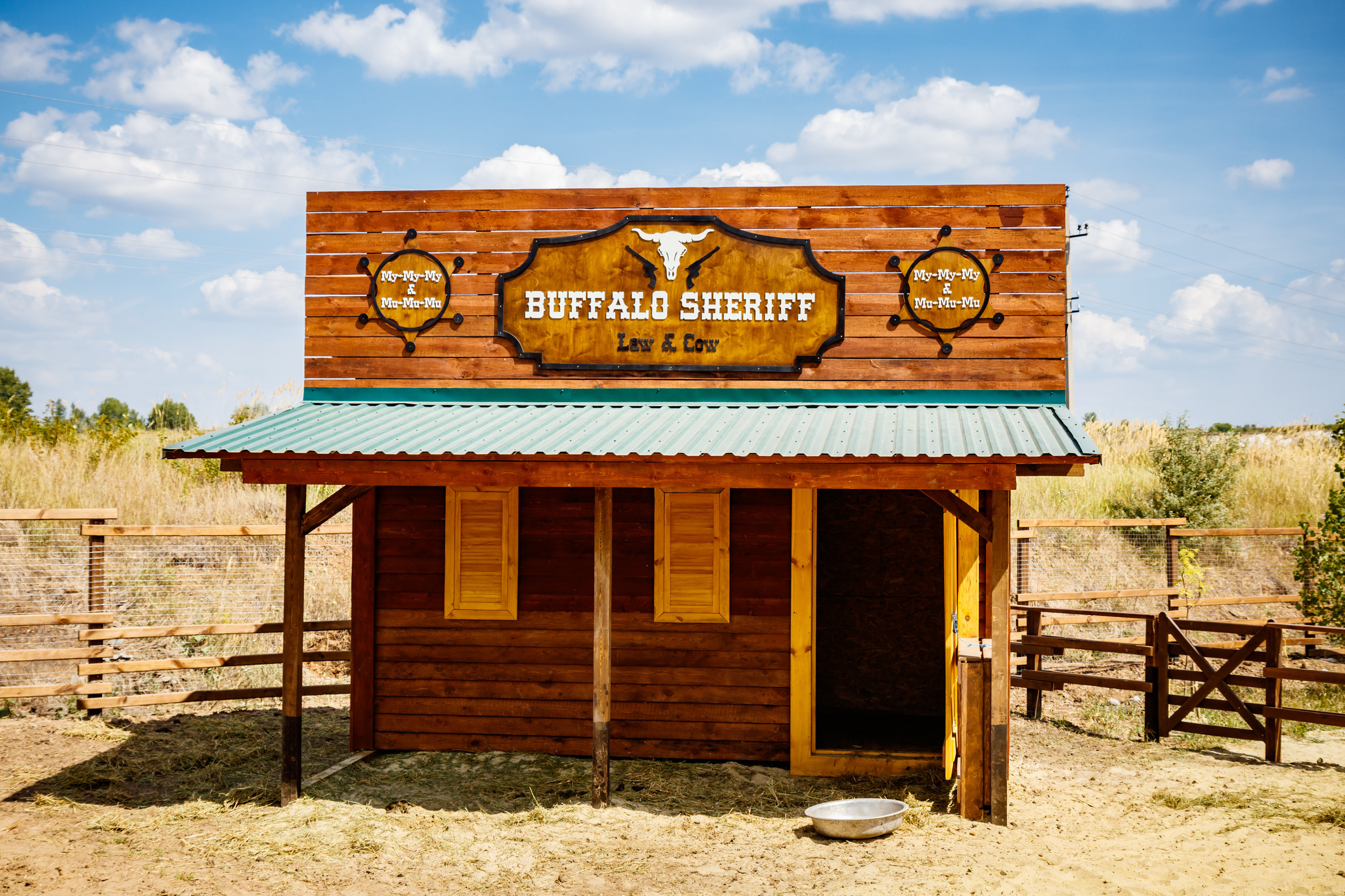 Альпака-парк, анонс. Марк Шишкин — репортажный фотограф в Воронеже и России